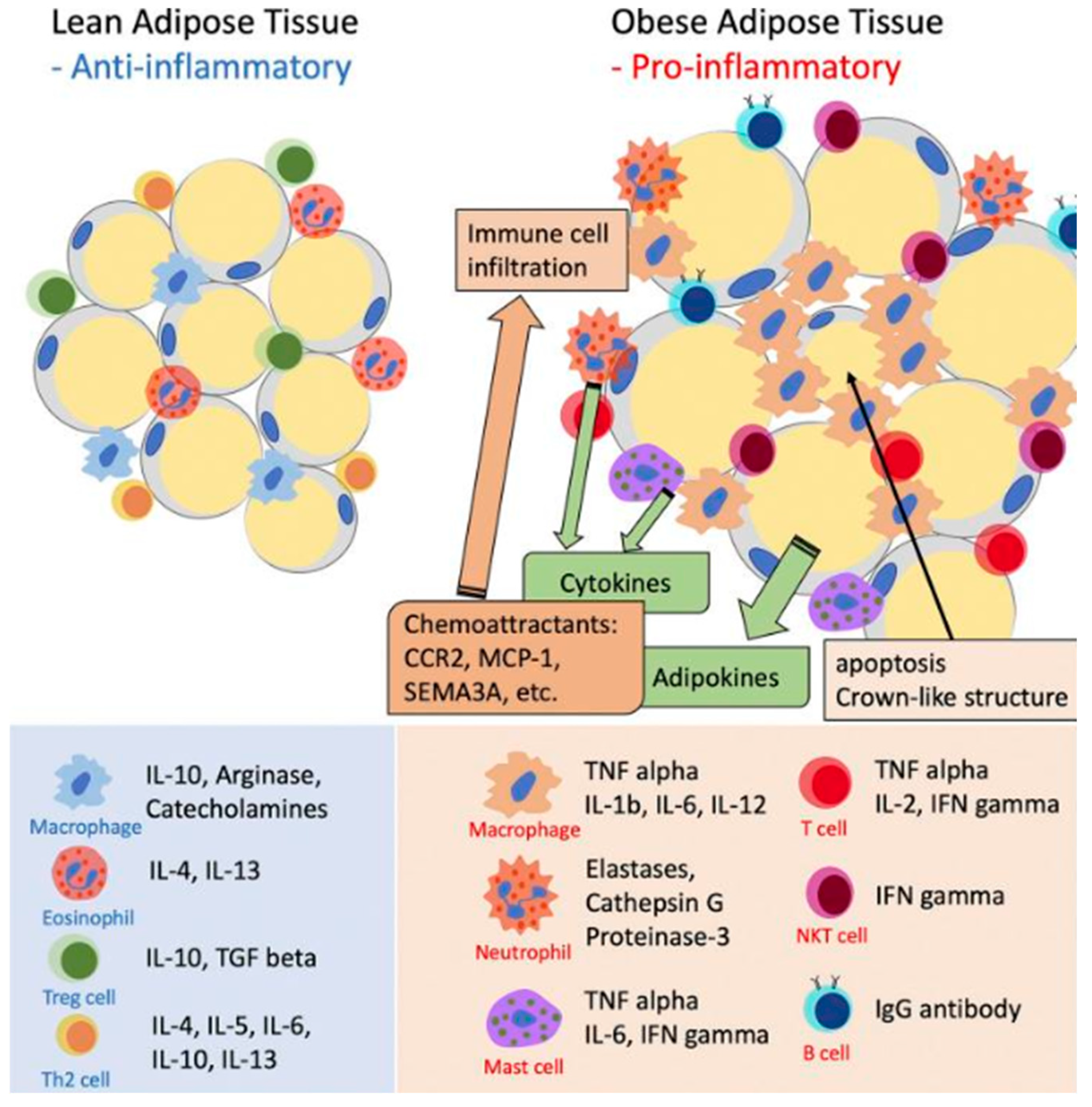 Preprints 160855 g002