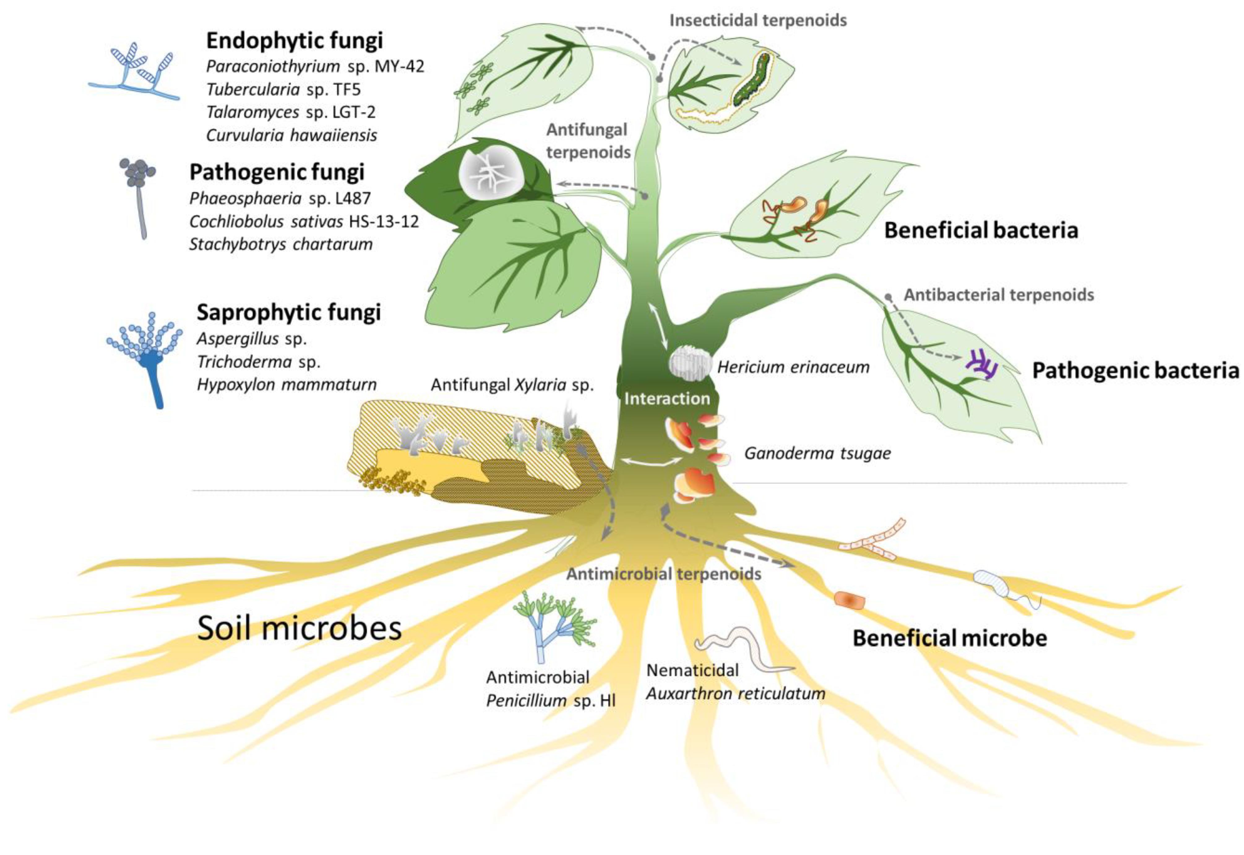 Preprints 154926 g001