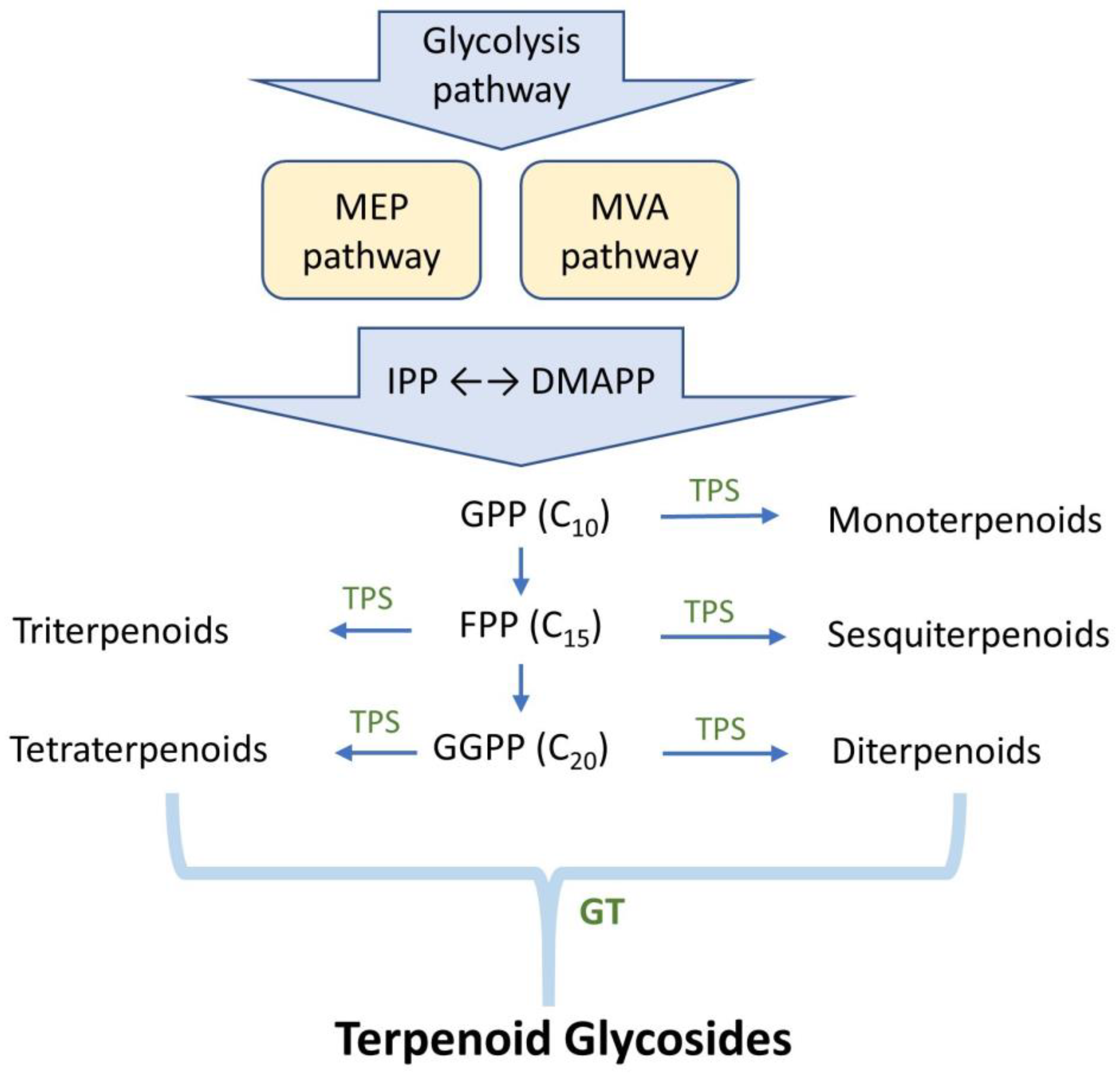 Preprints 154926 g002