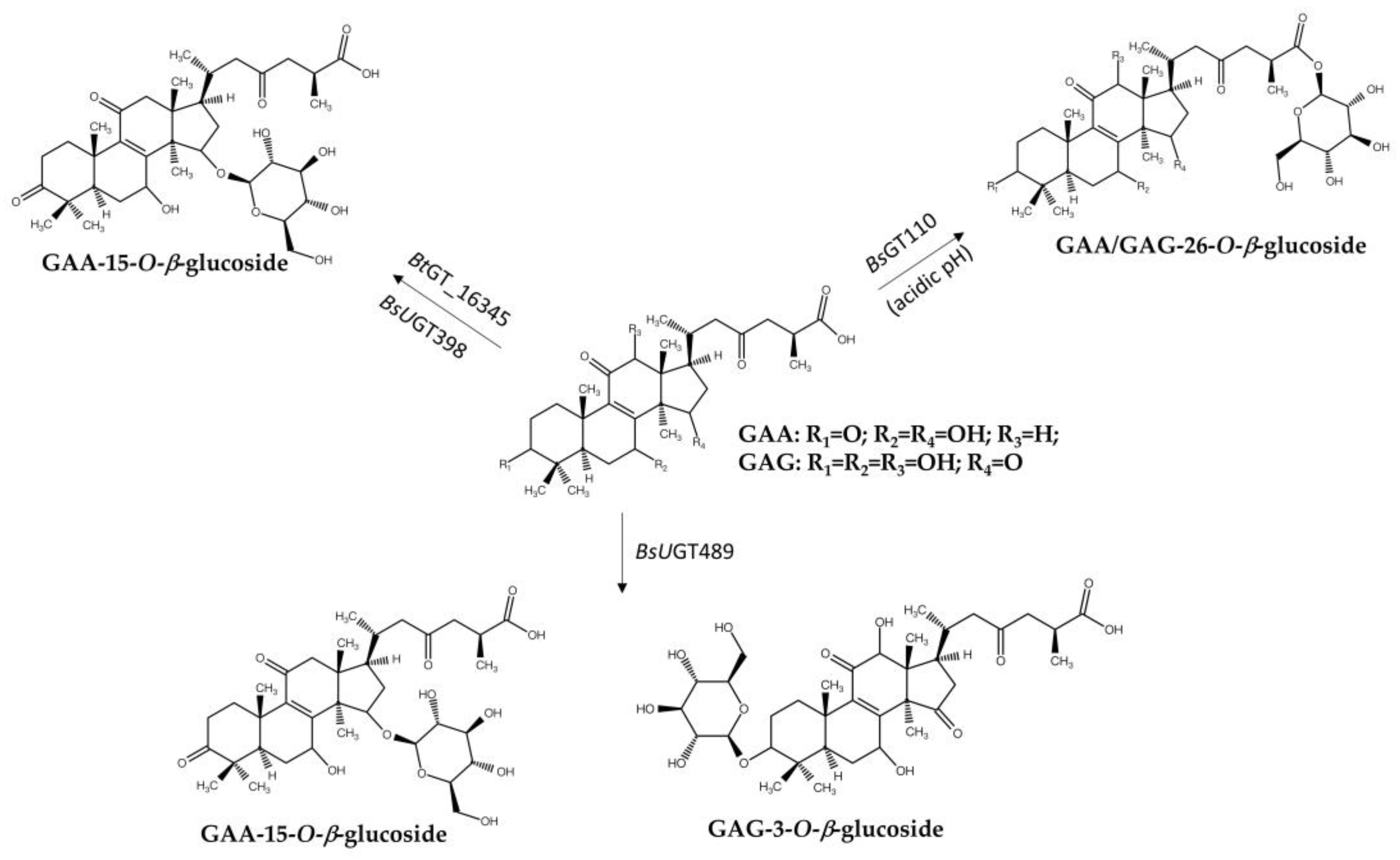 Preprints 154926 g004