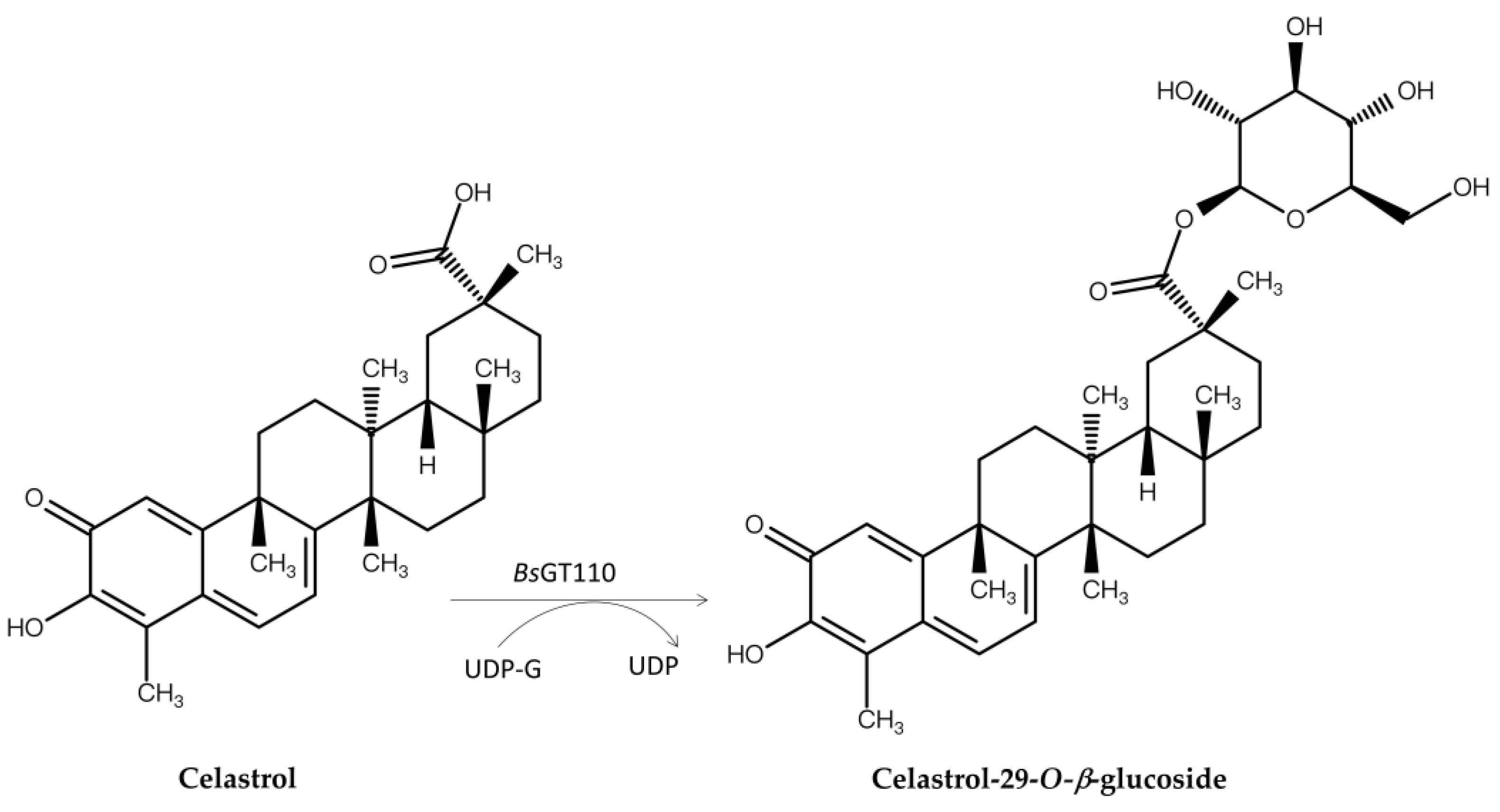 Preprints 154926 g007