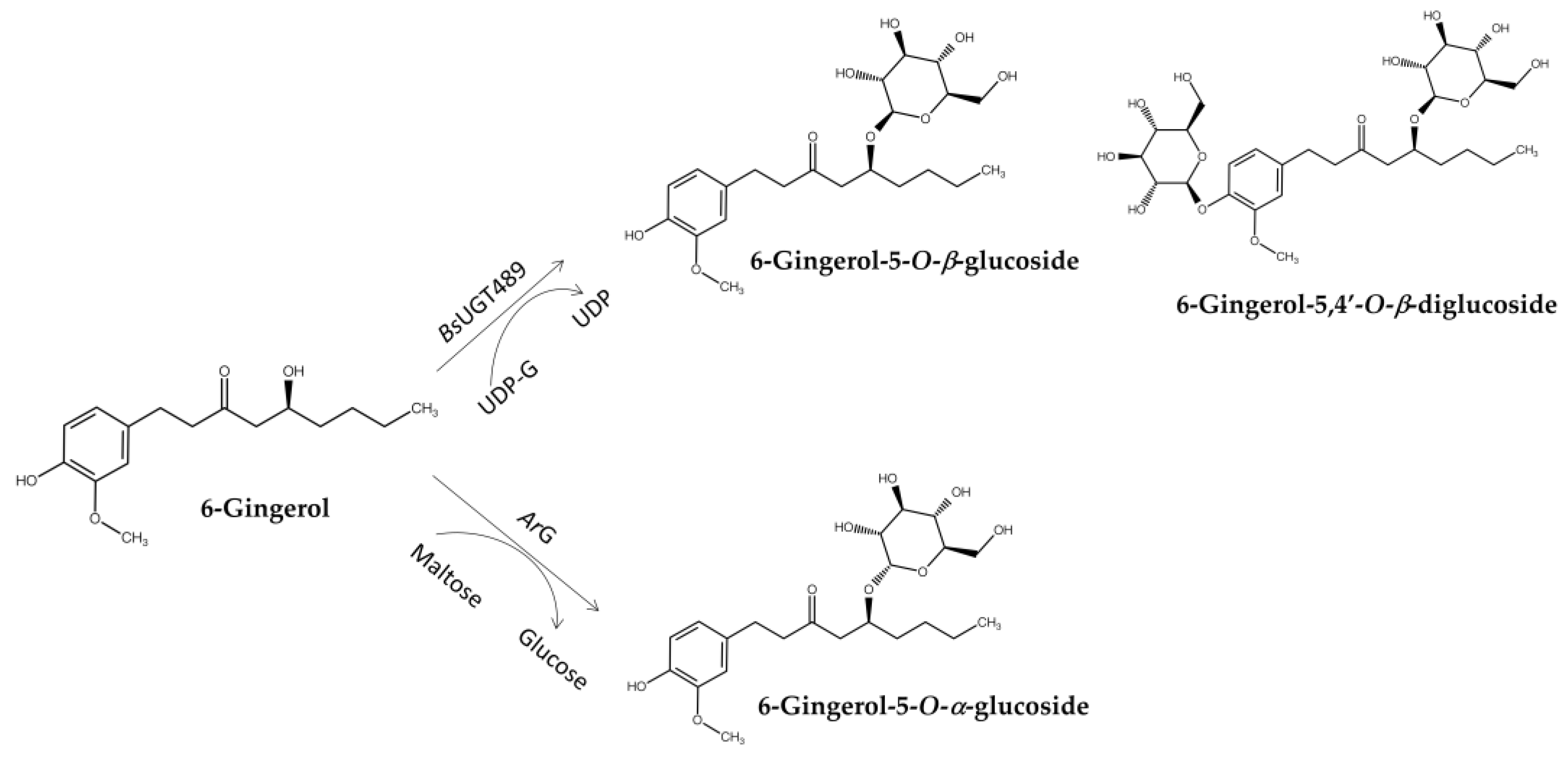 Preprints 154926 g009
