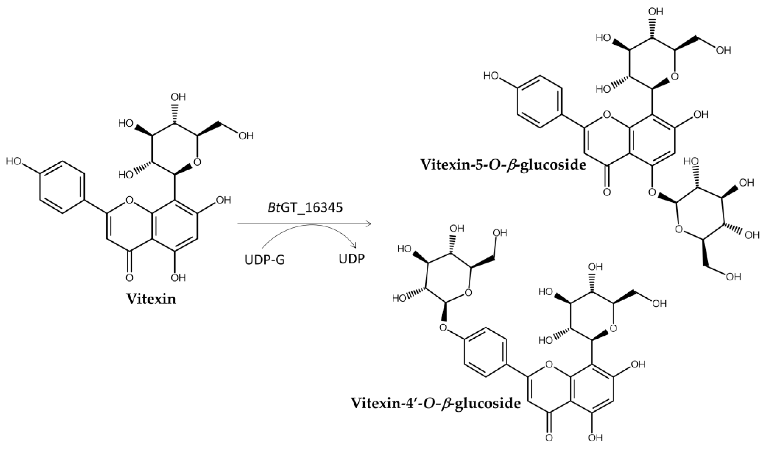 Preprints 154926 g010