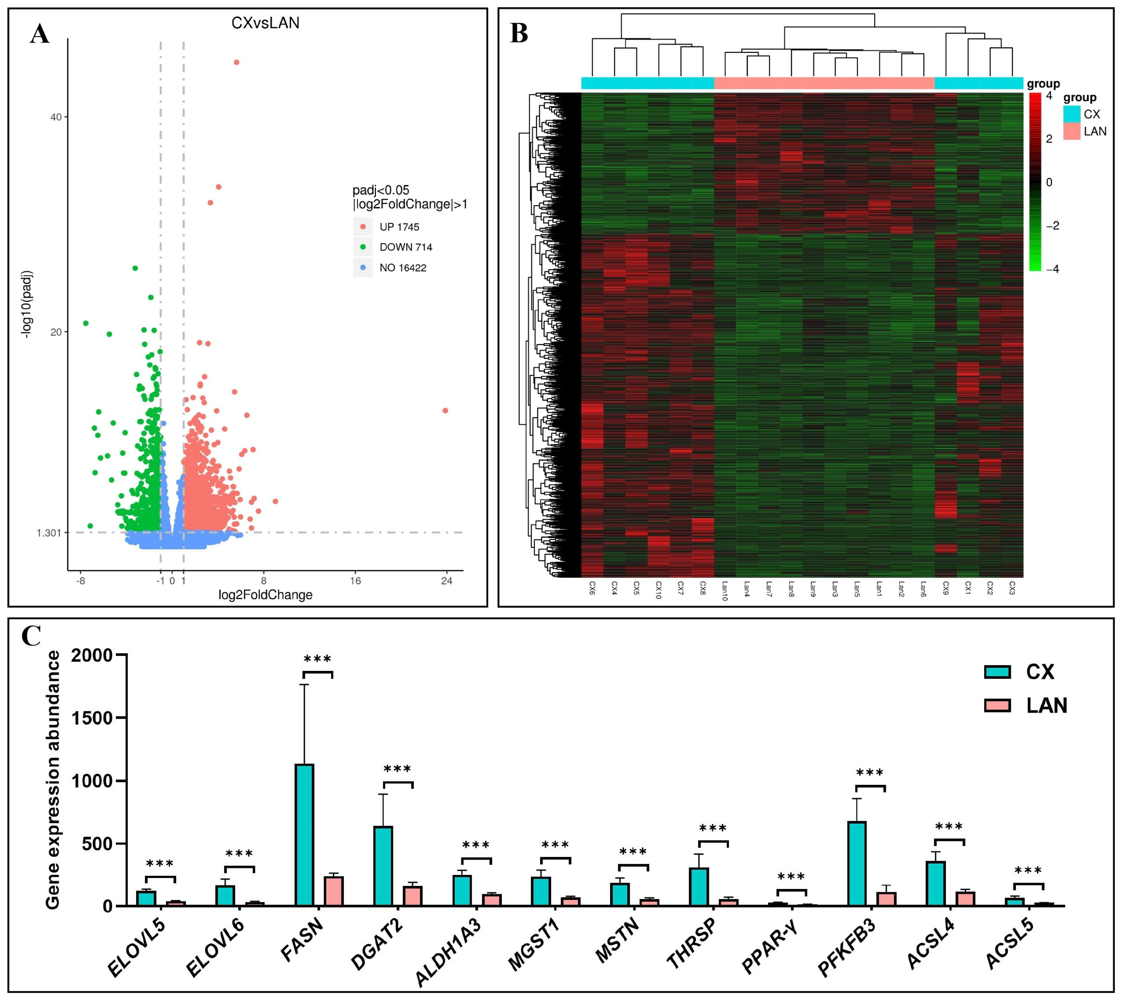Preprints 159175 g002