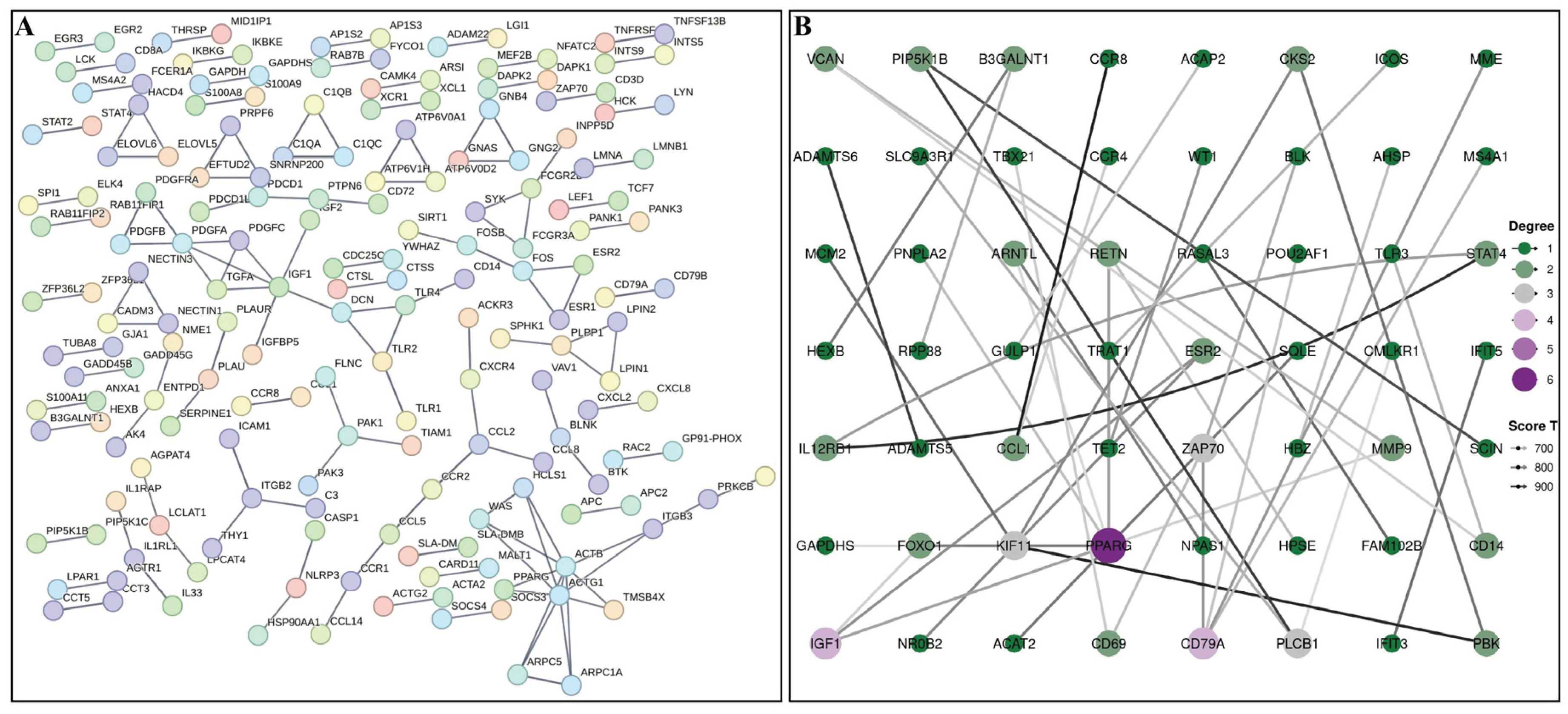 Preprints 159175 g004