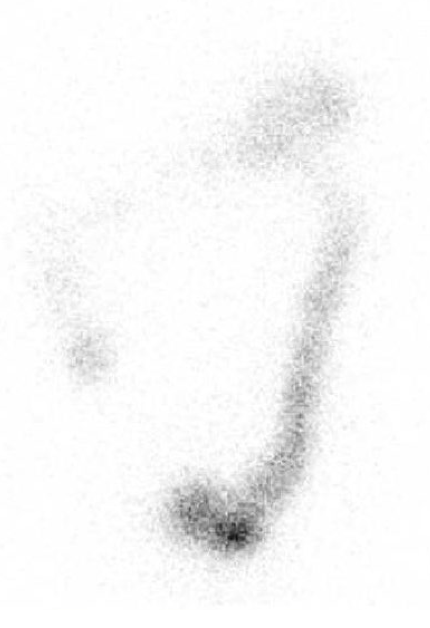 Preprints 174915 g002