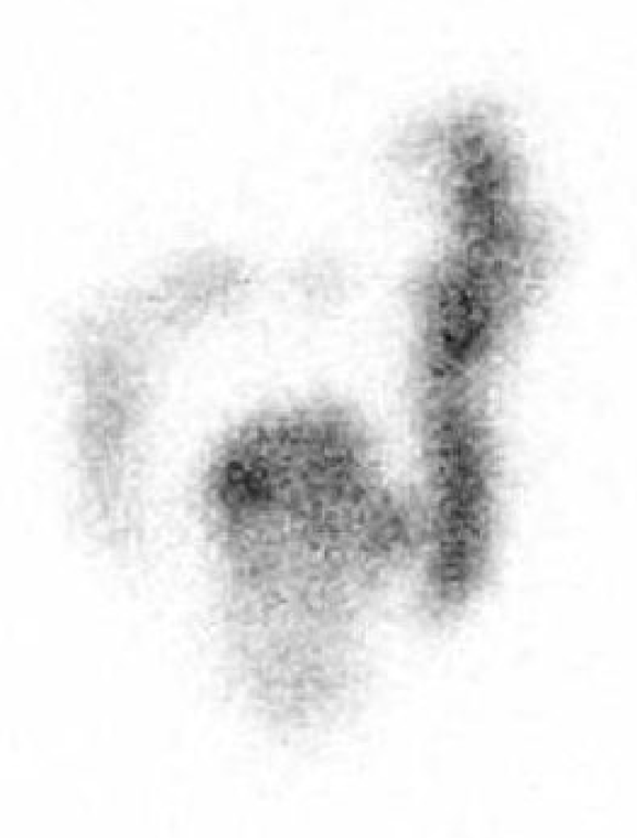 Preprints 174915 g003