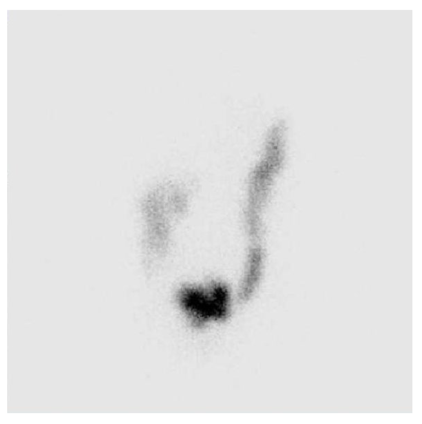 Preprints 174915 g004