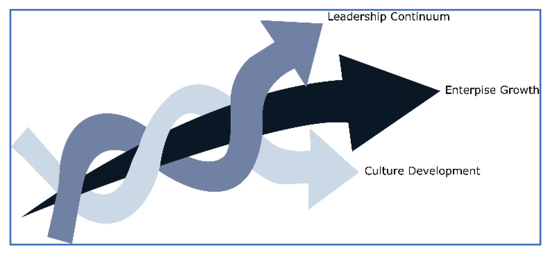 Preprints 106969 g003