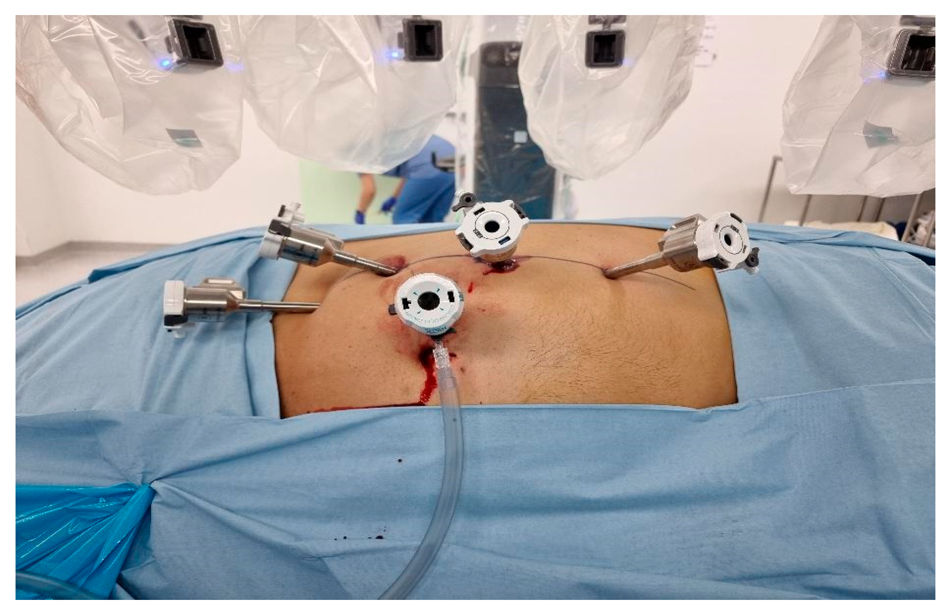 Preprints 171927 g001