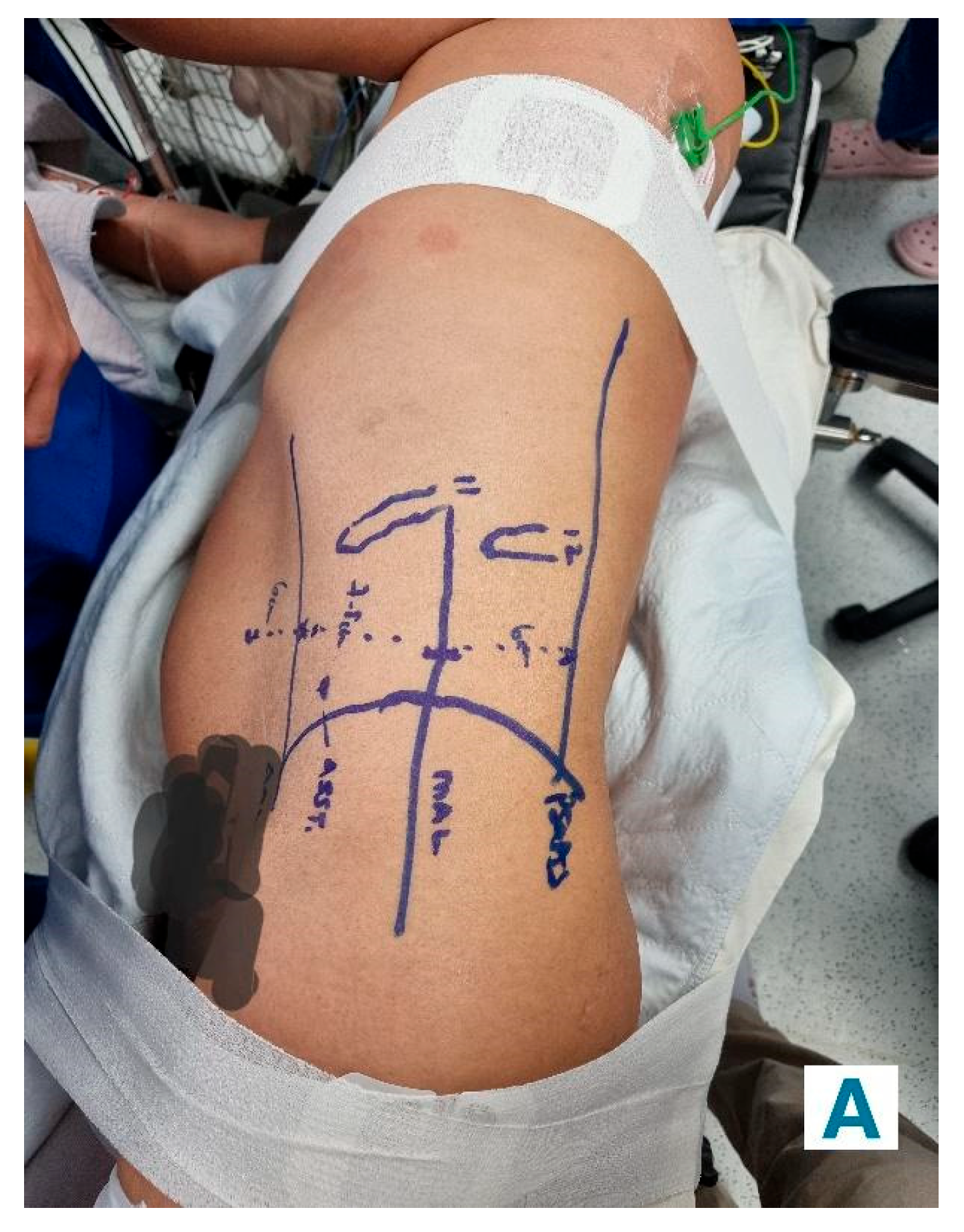 Preprints 171927 g002