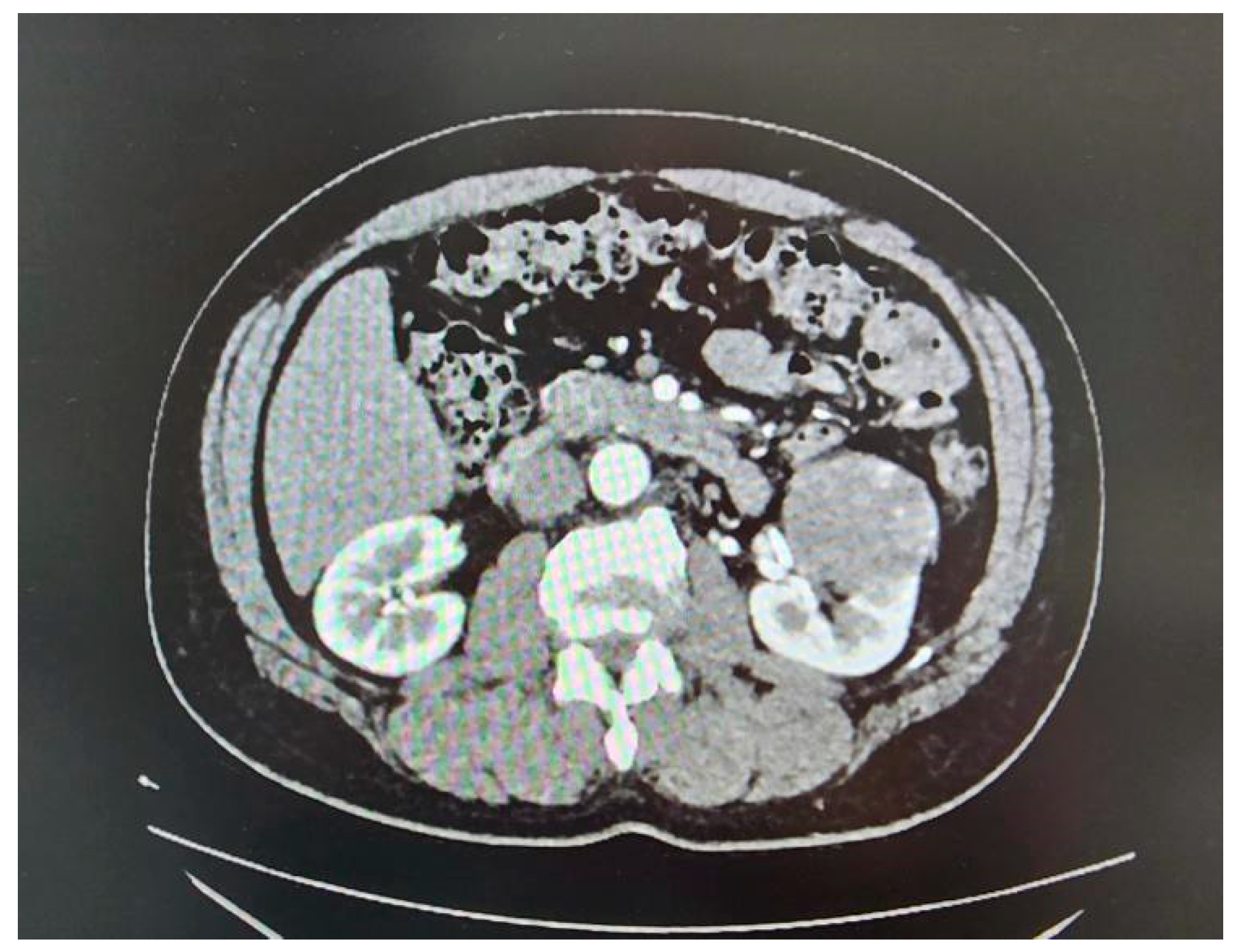 Preprints 171927 g004