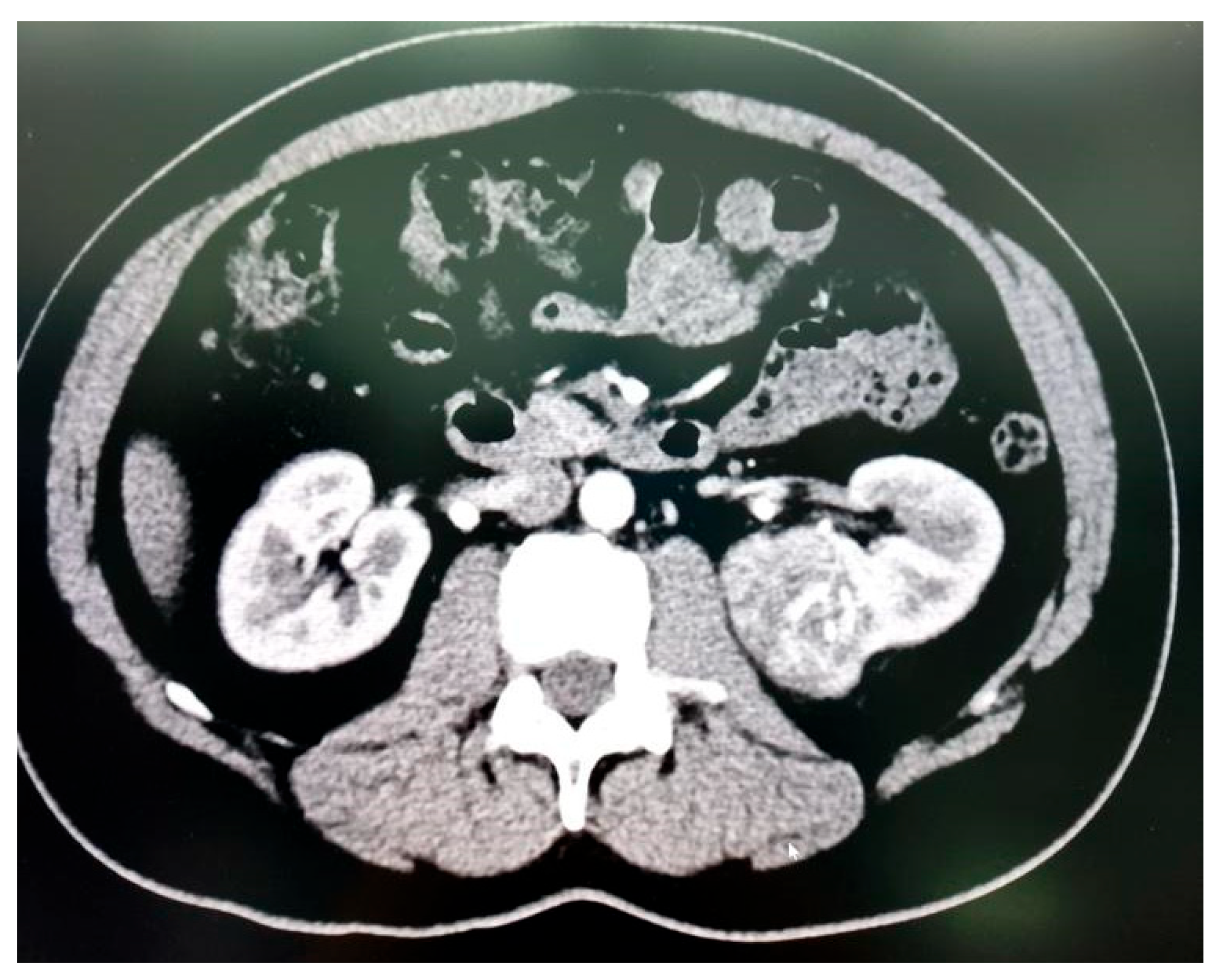 Preprints 171927 g005