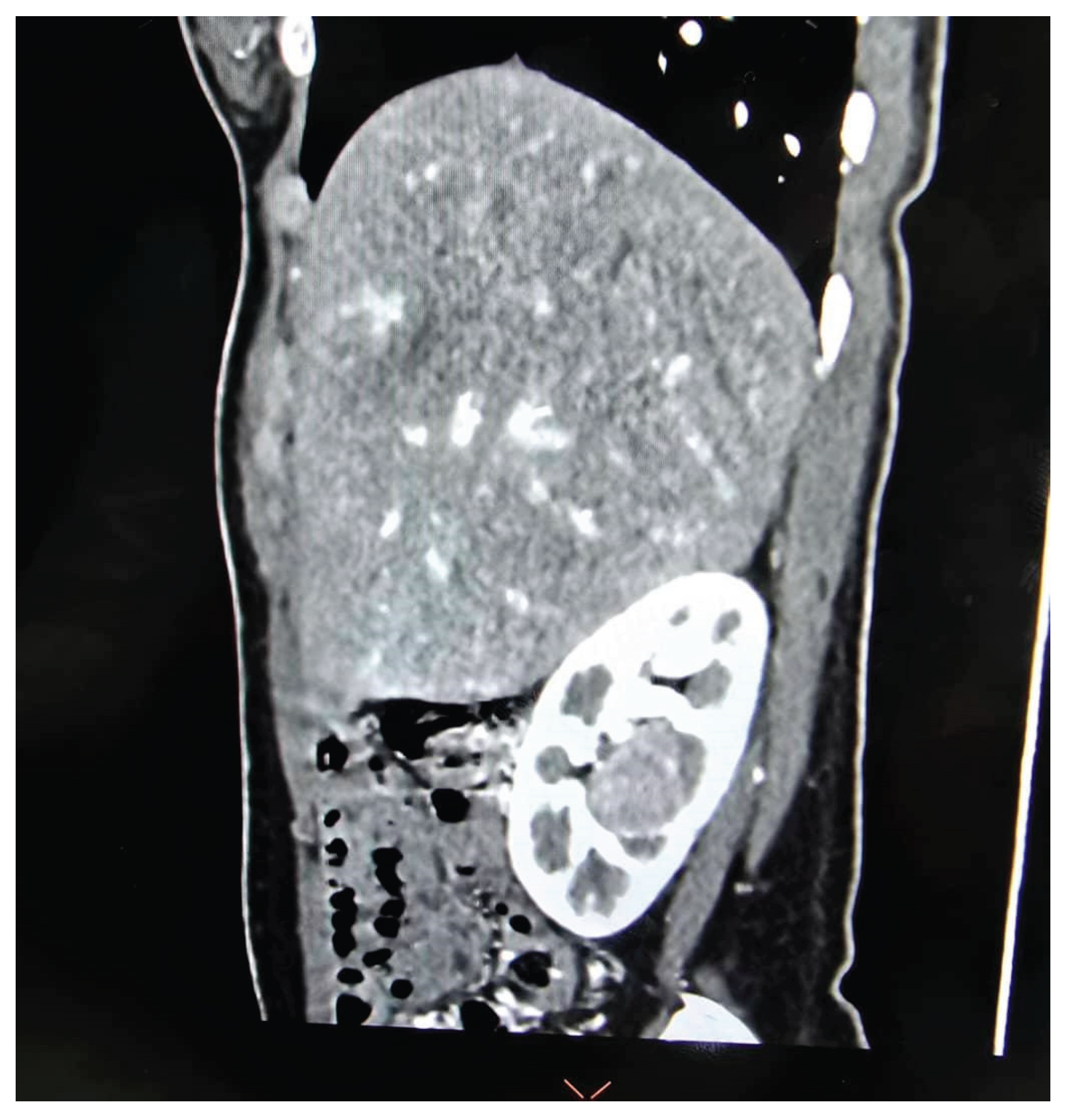 Preprints 171927 g006