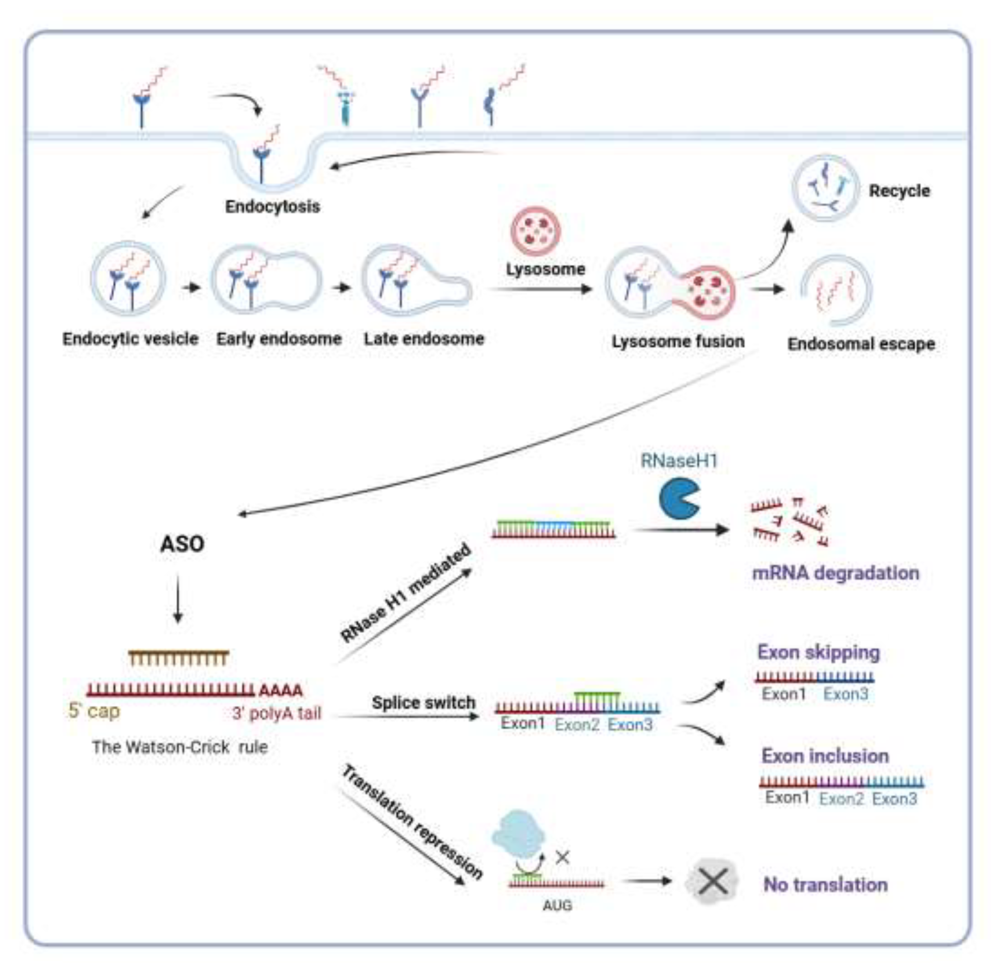 Preprints 203180 g002