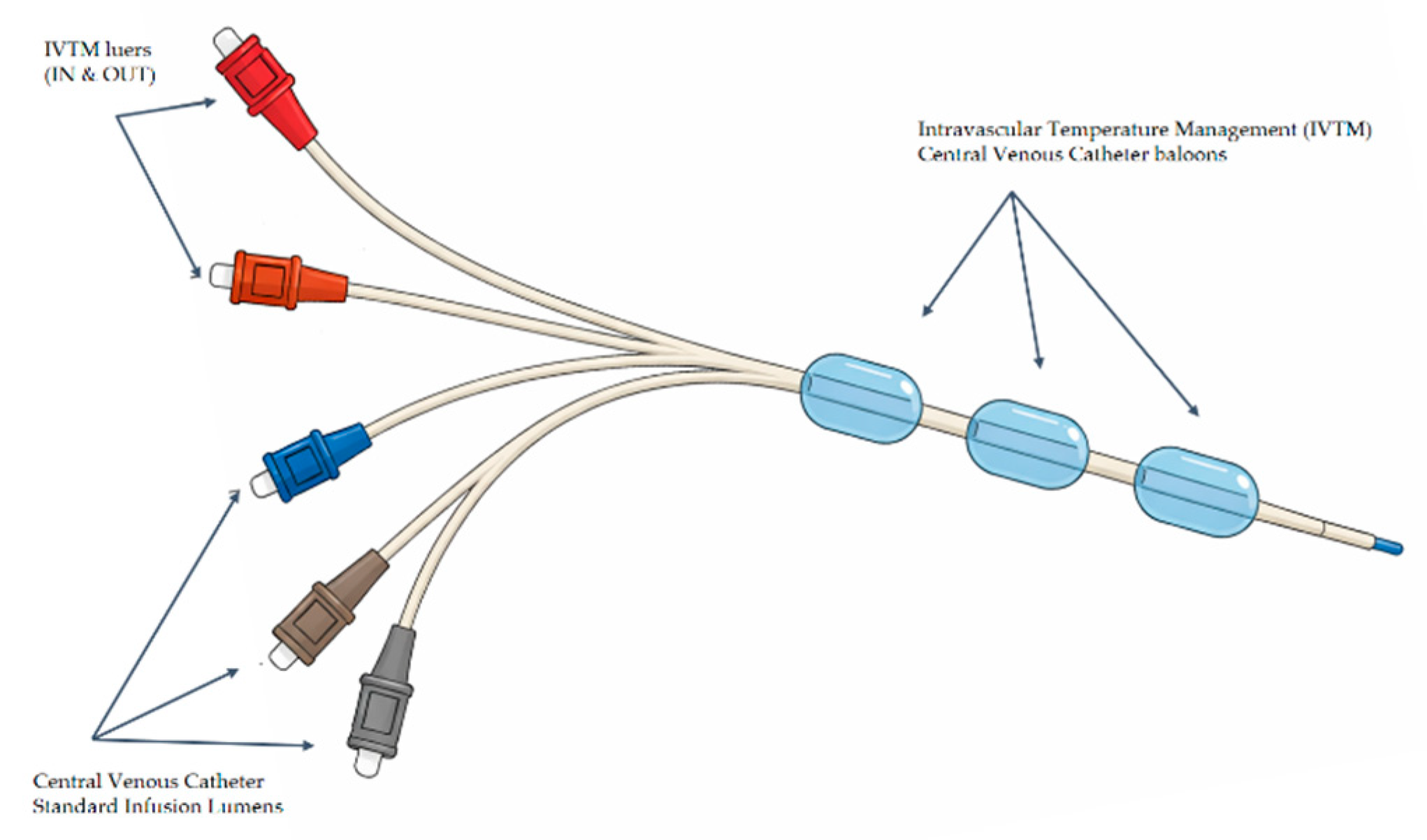 Preprints 194807 g002