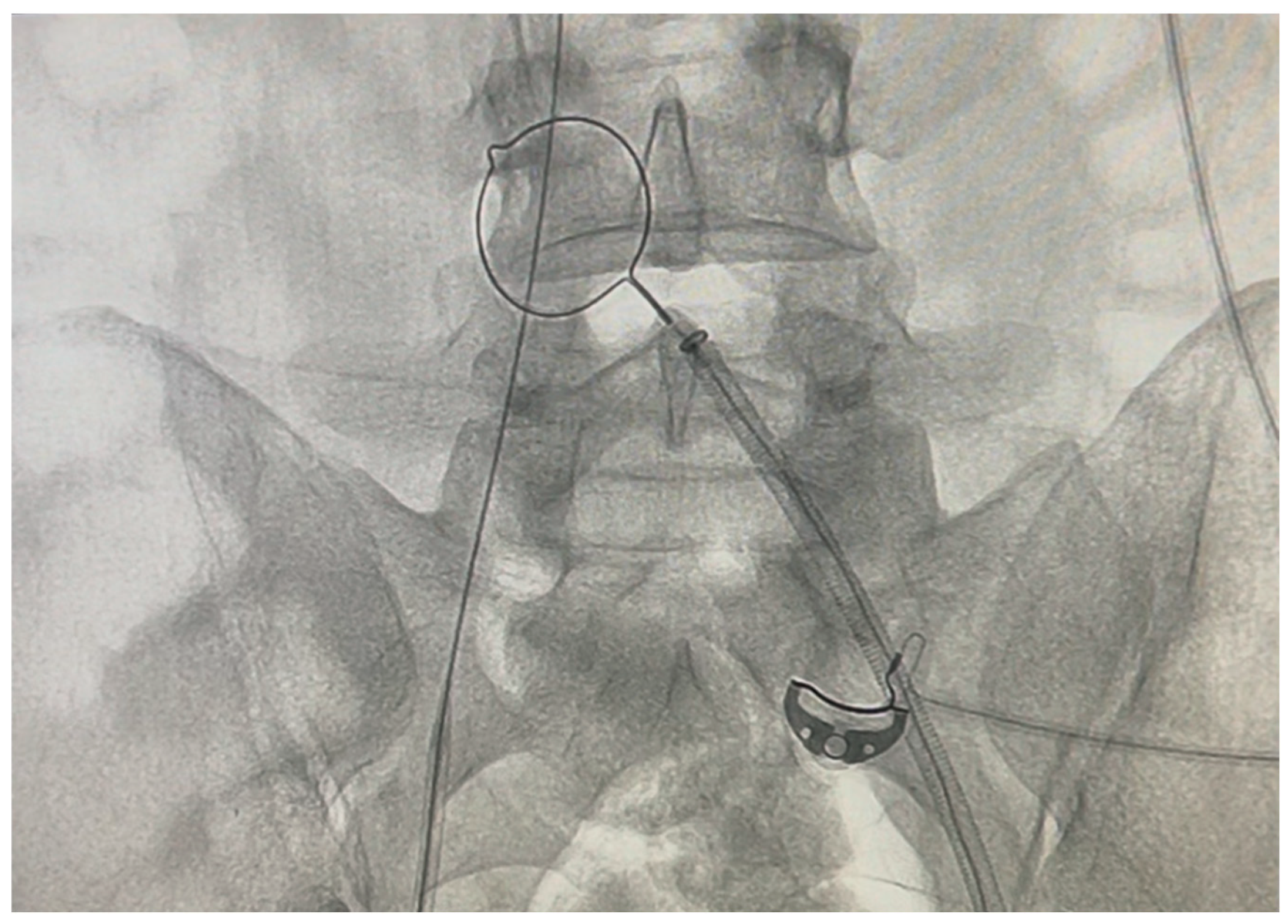 Preprints 194807 g003