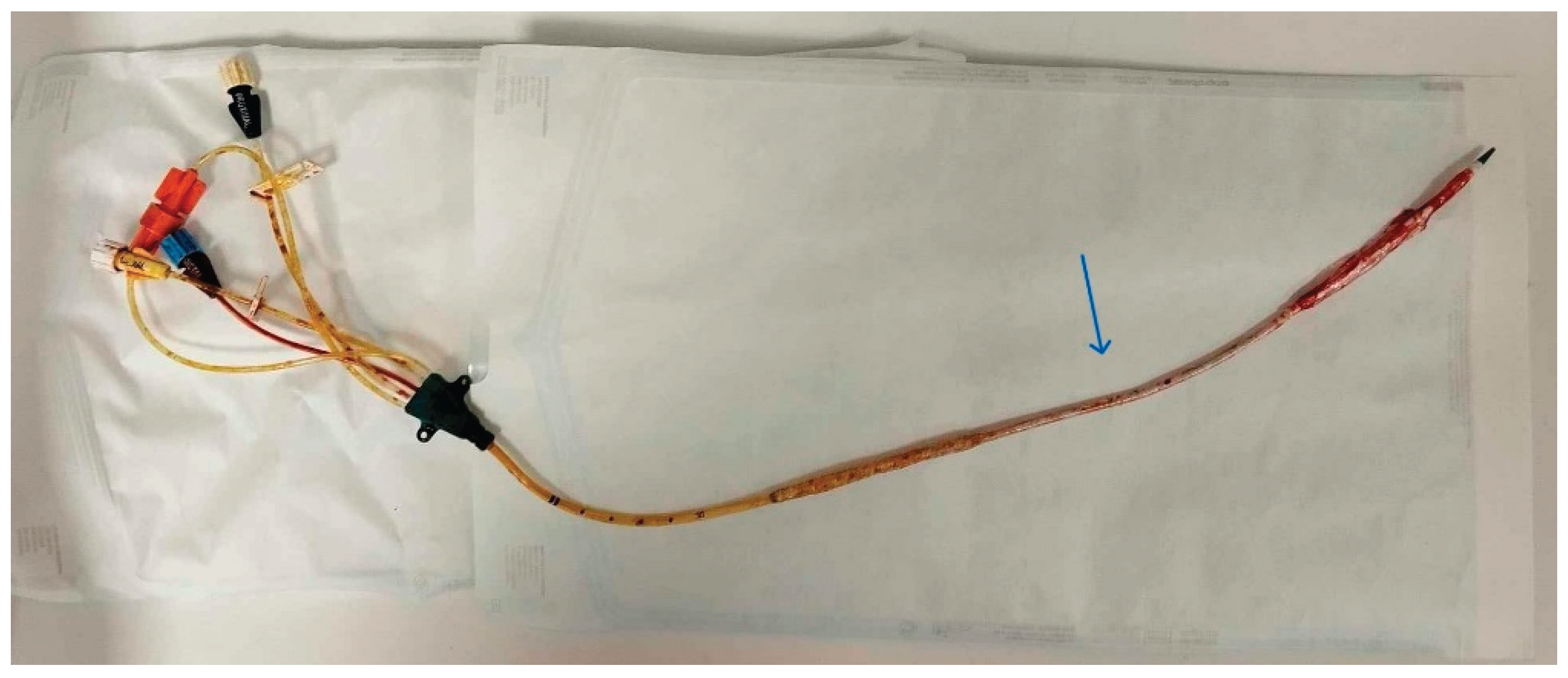 Preprints 194807 g005