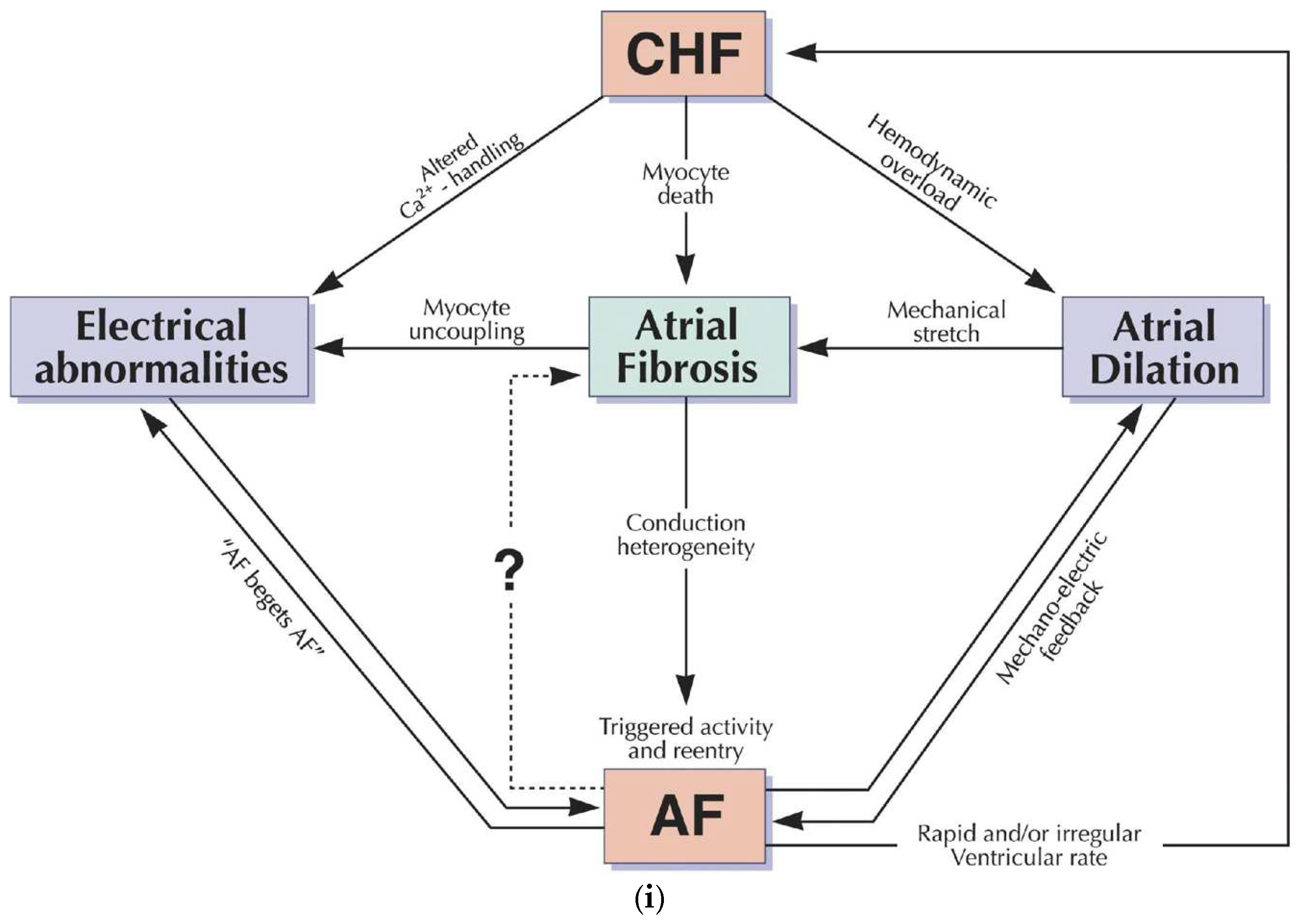 Preprints 146032 g001a