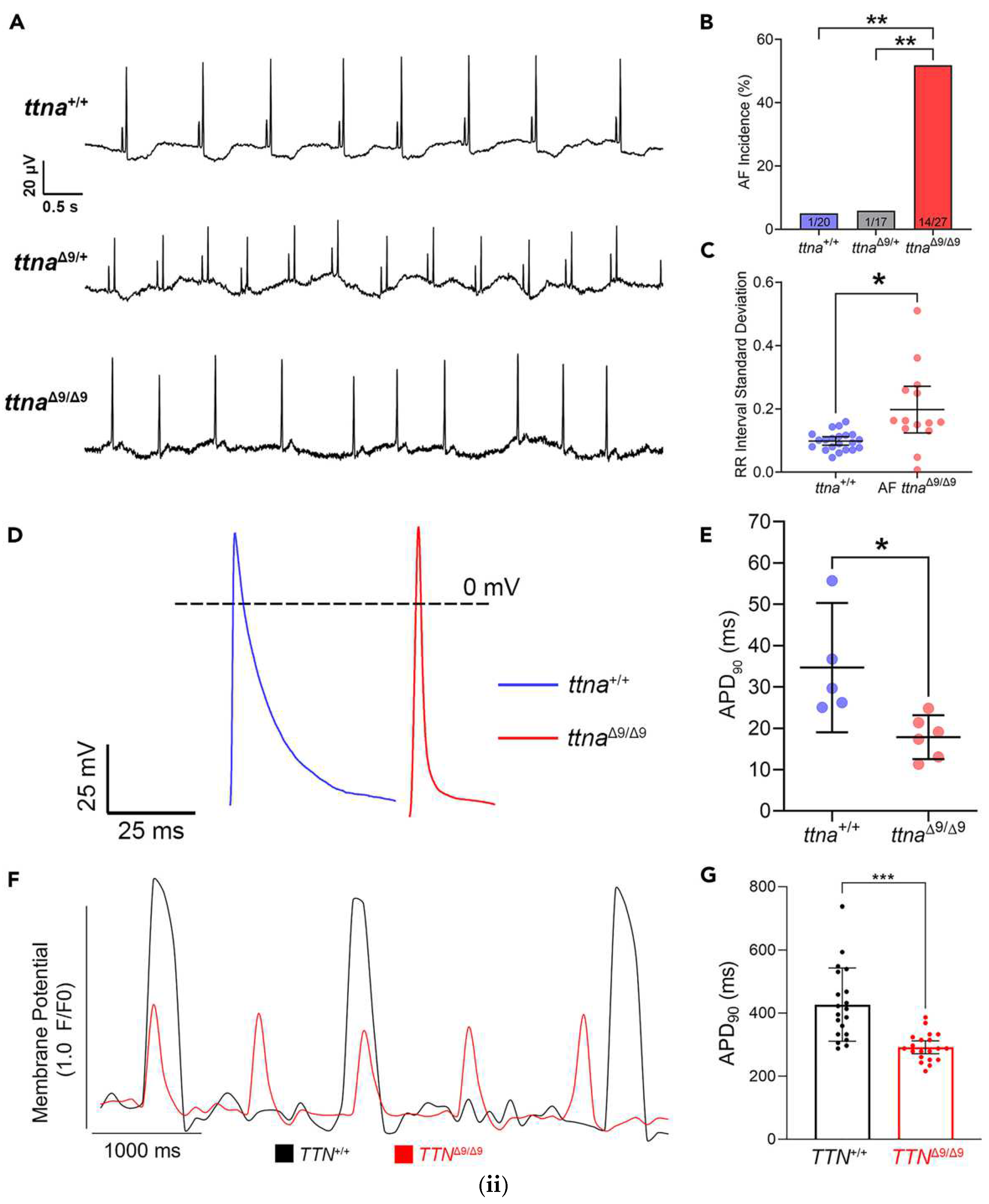 Preprints 146032 g001b