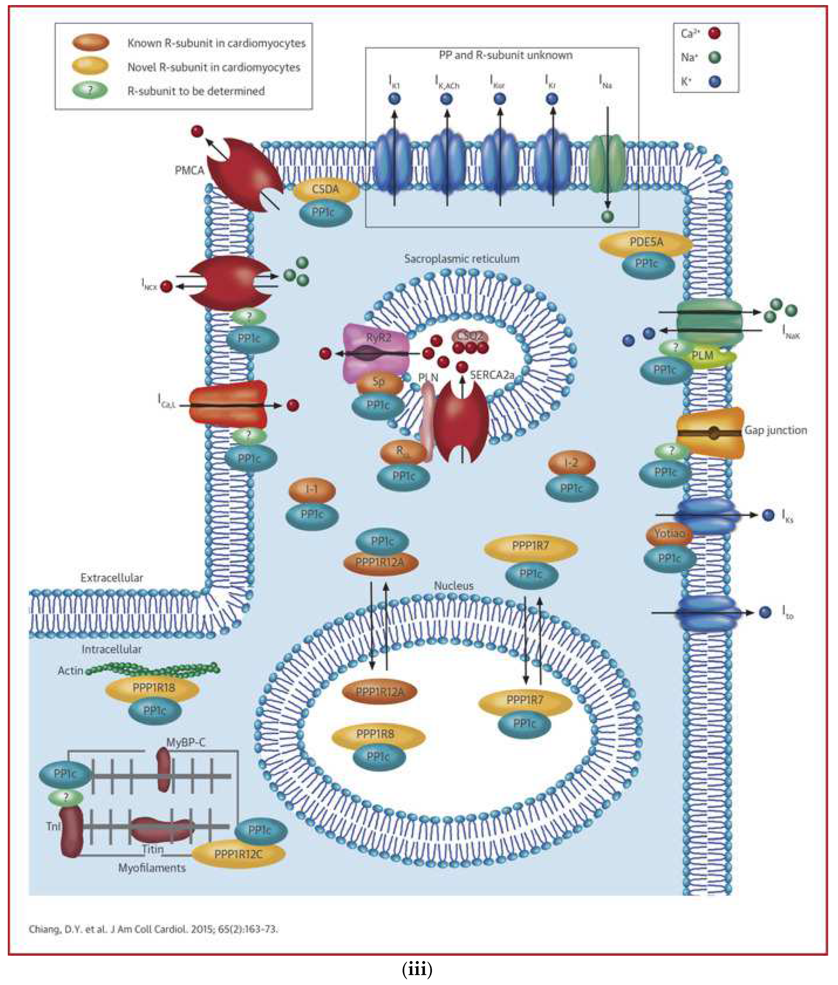 Preprints 146032 g001c