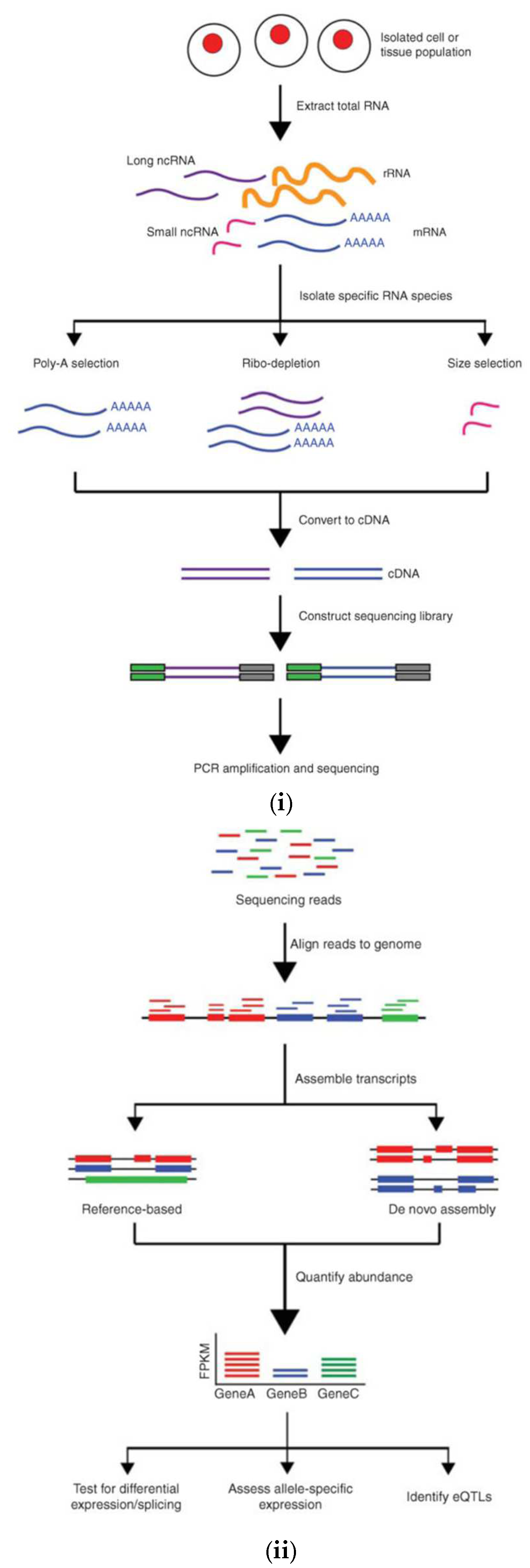 Preprints 146032 g002