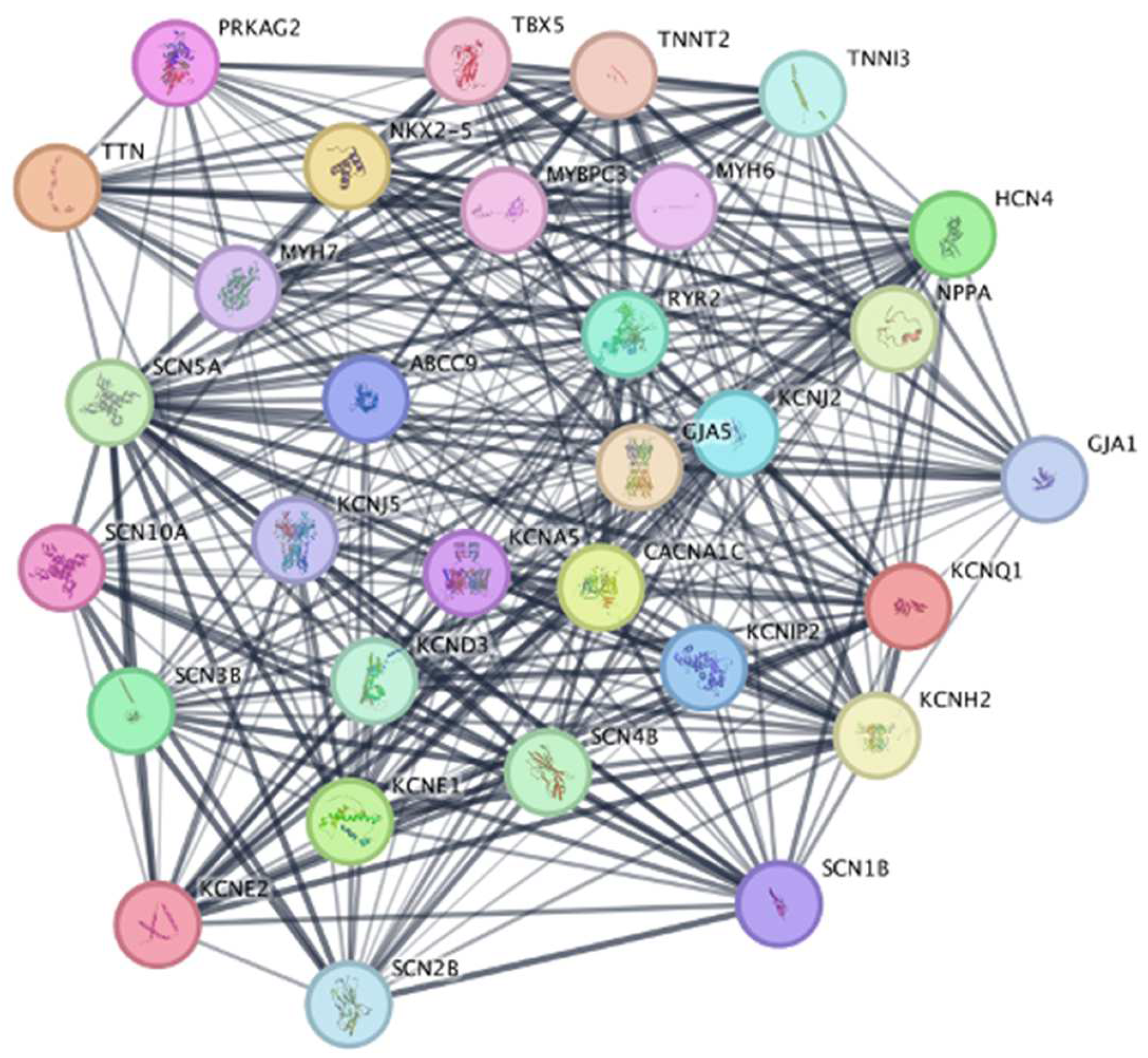 Preprints 146032 g003