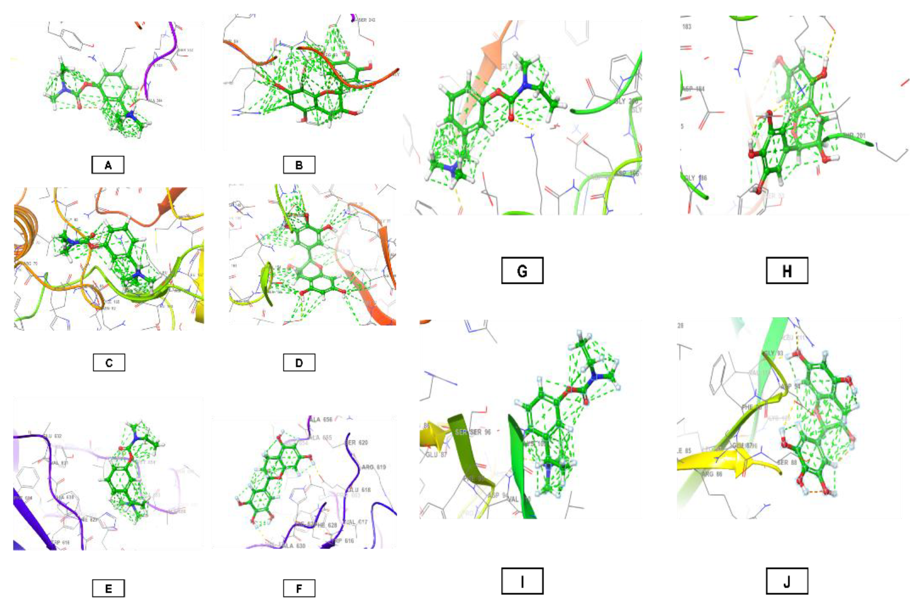Preprints 215231 g007 Preprints 215231 g007