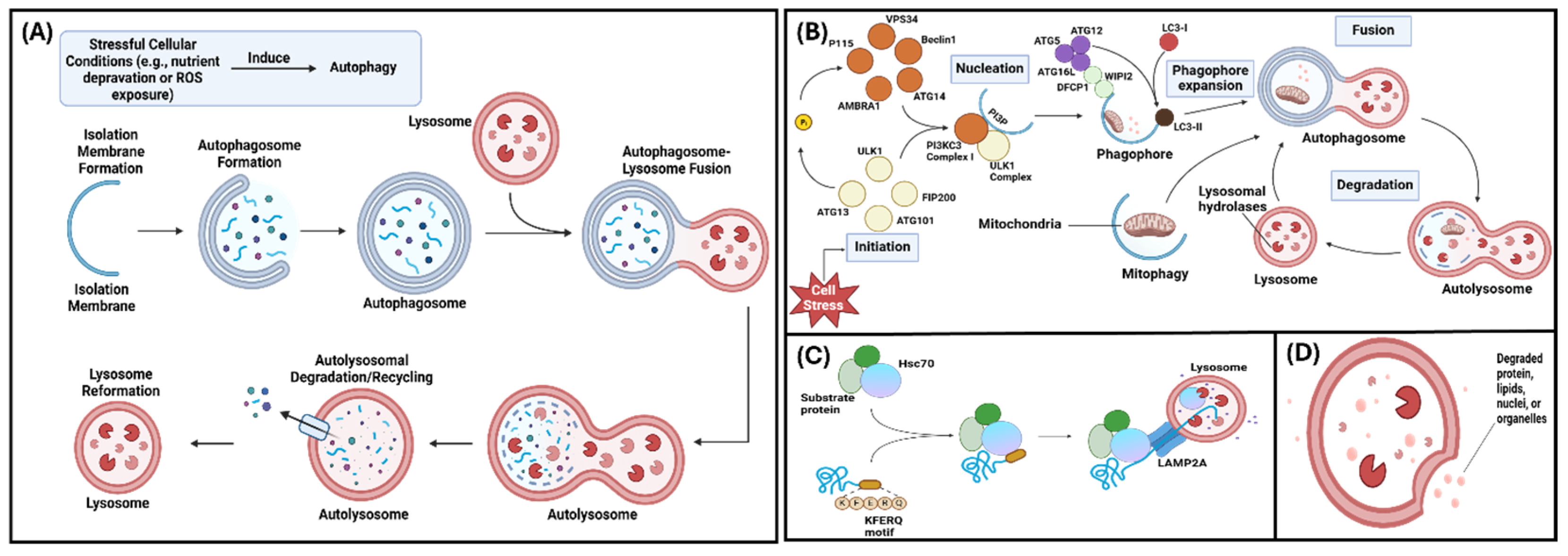 Preprints 160212 g001