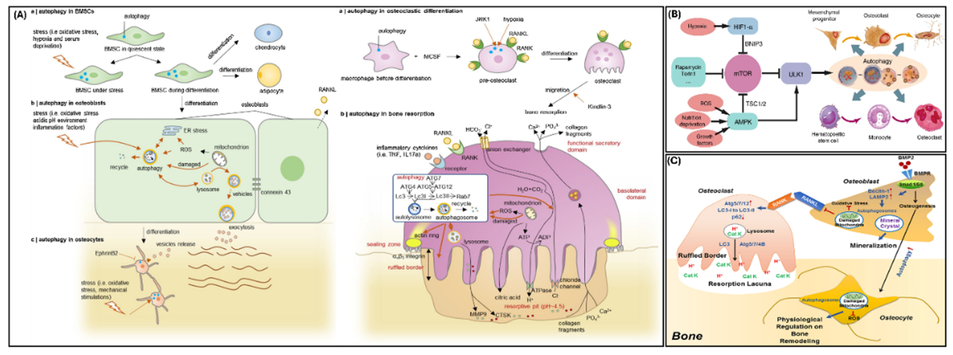 Preprints 160212 g003