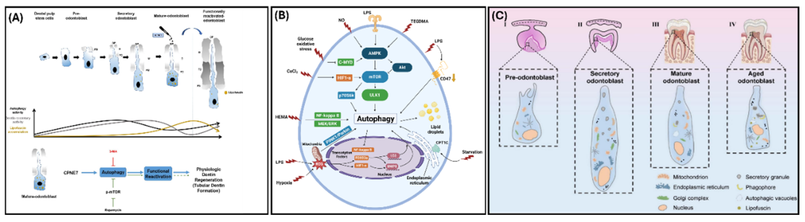 Preprints 160212 g004