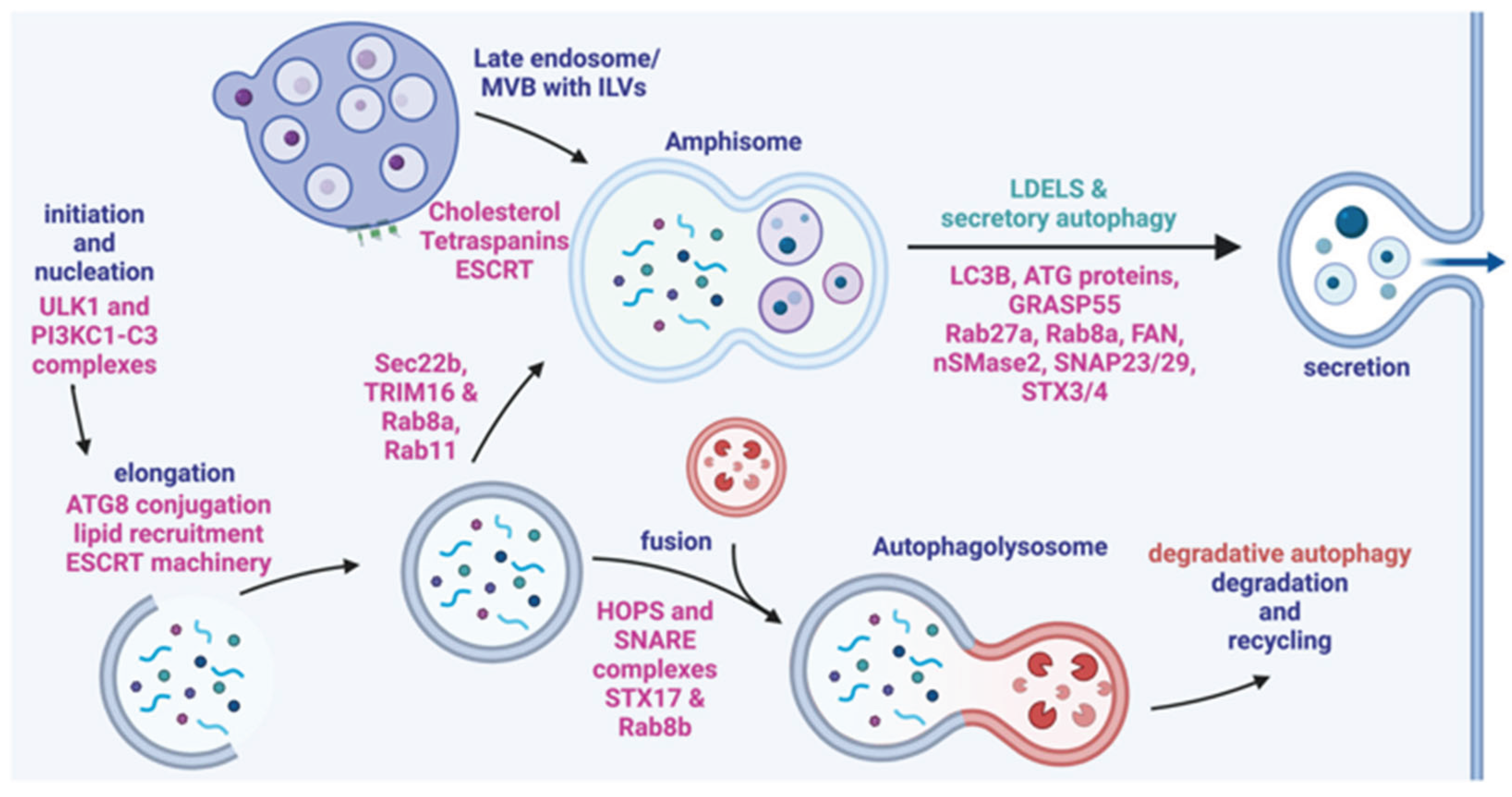 Preprints 160212 g005