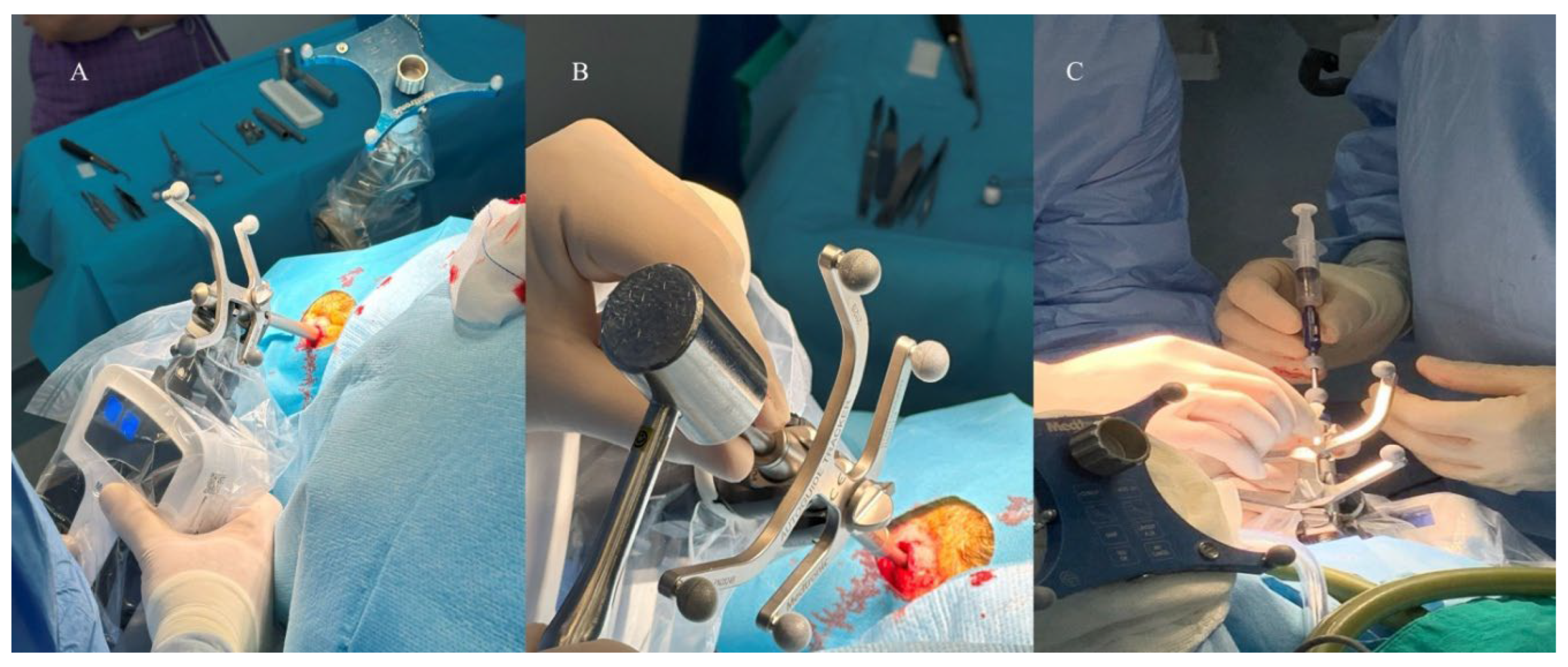 Preprints 195063 g002