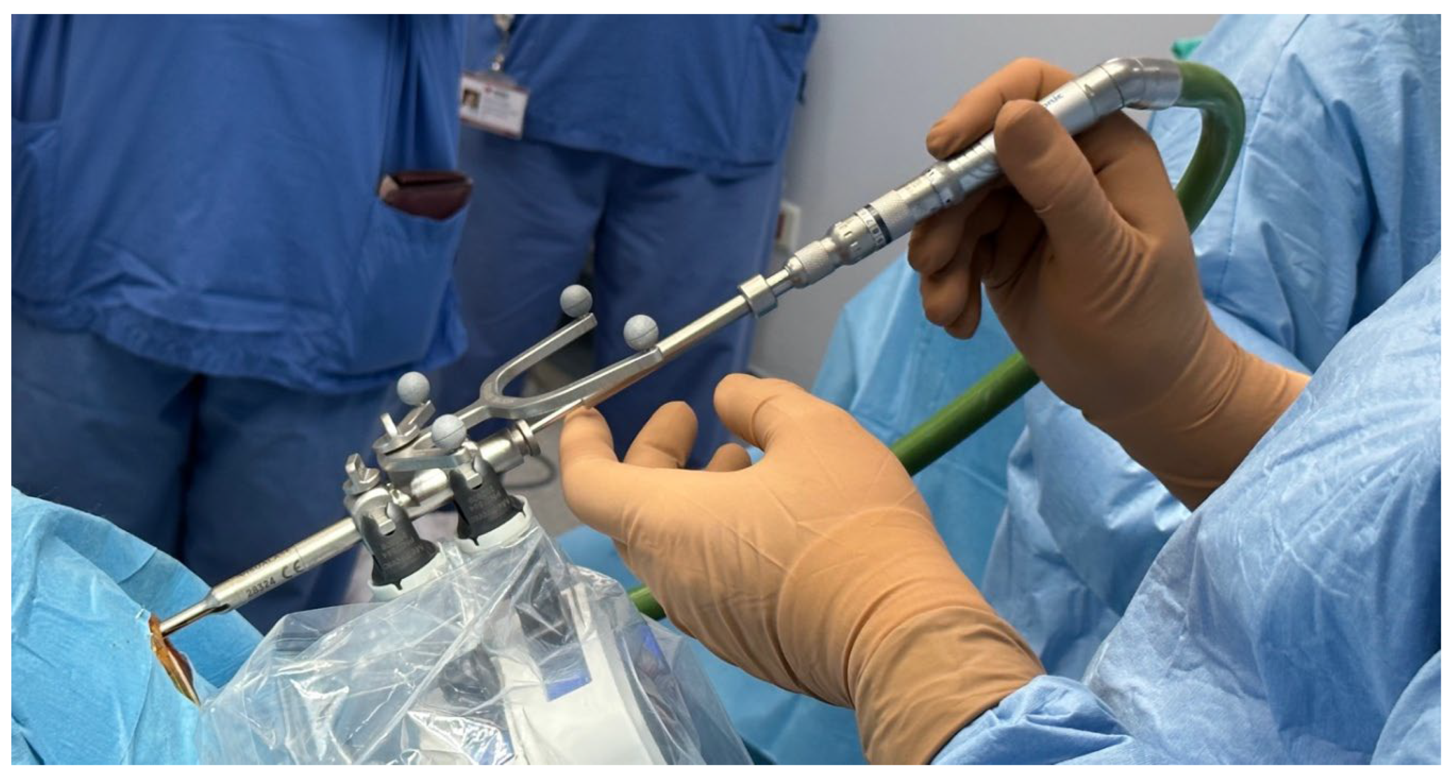 Preprints 195063 g005