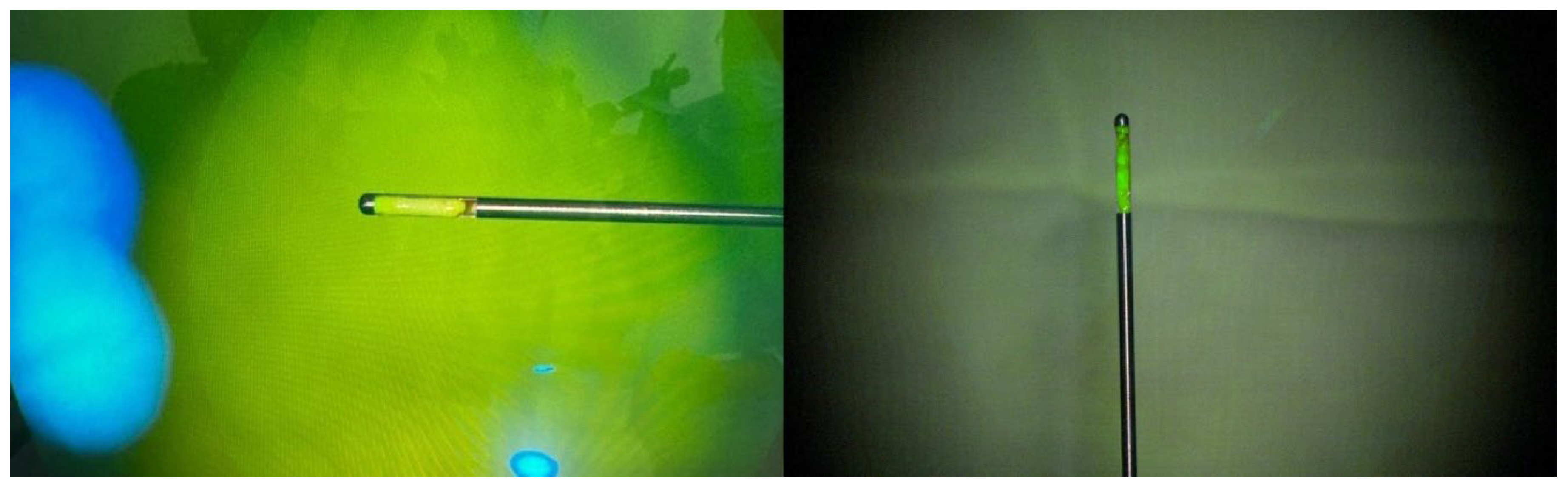 Preprints 195063 g008