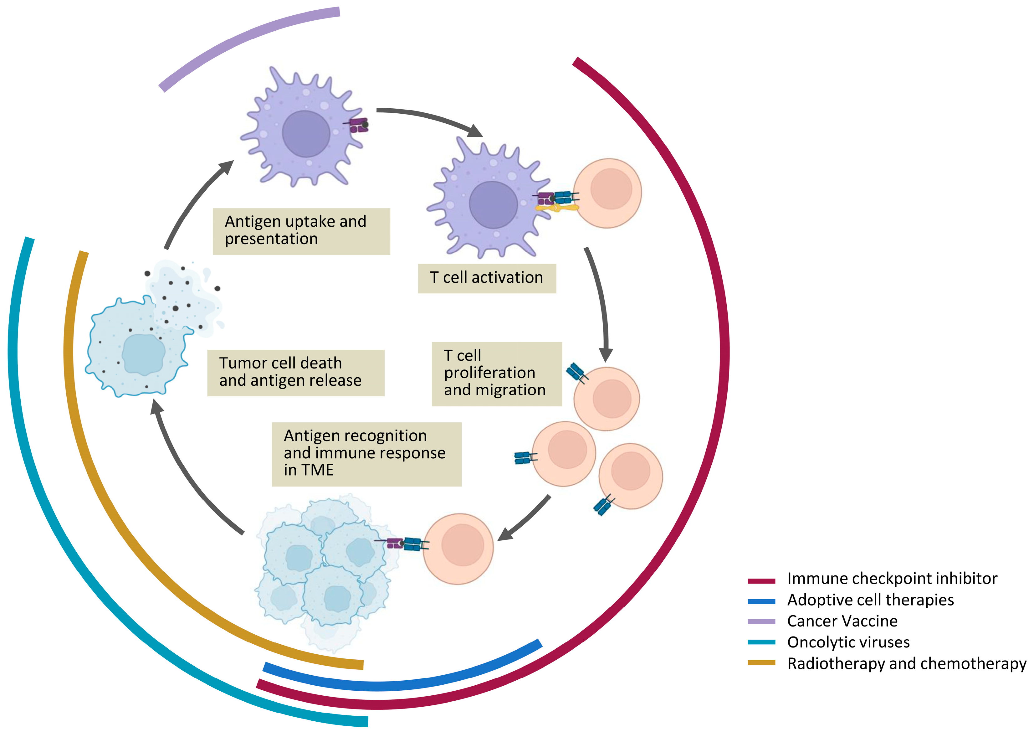 Preprints 96038 g001