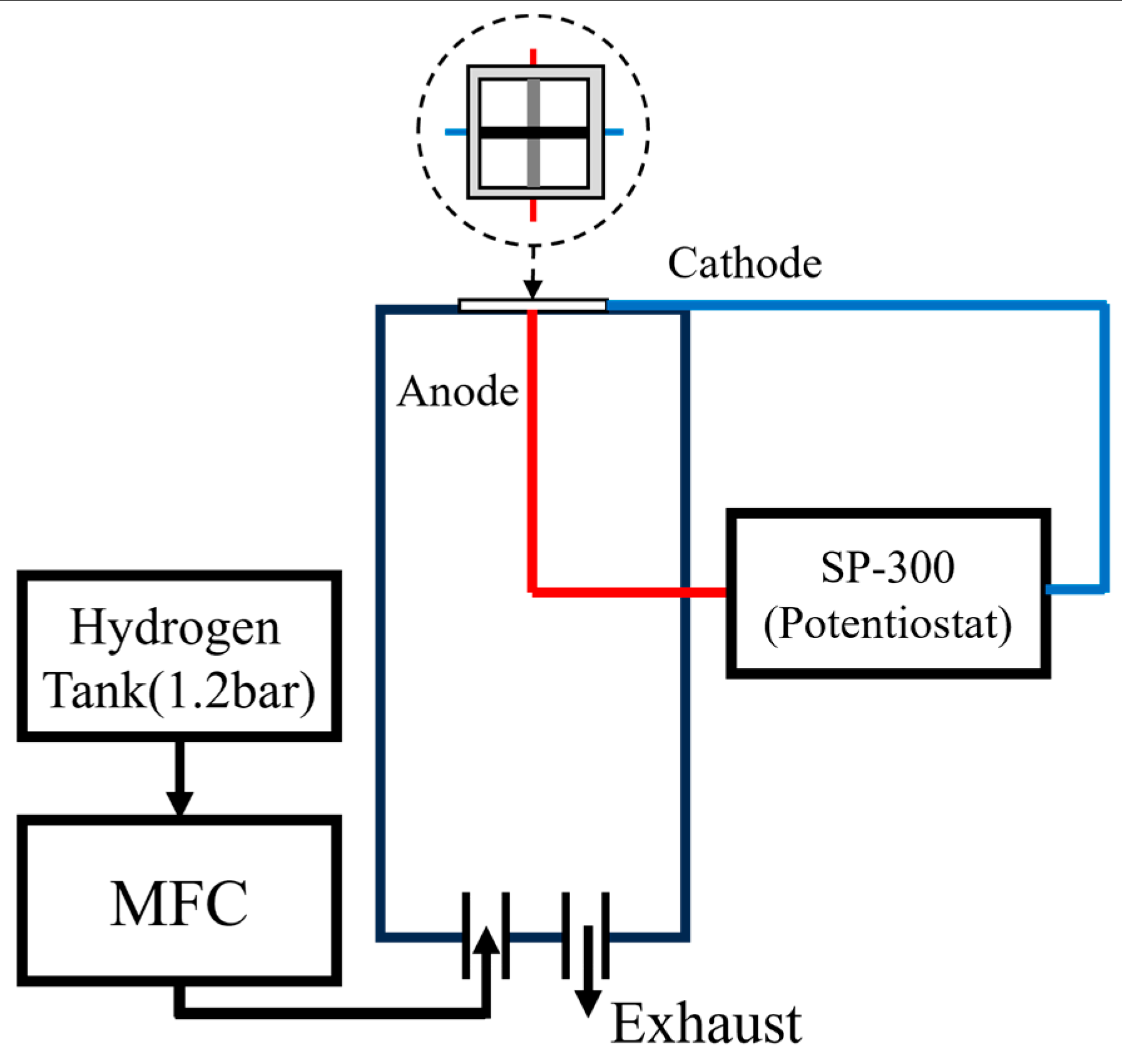 Preprints 142626 g003