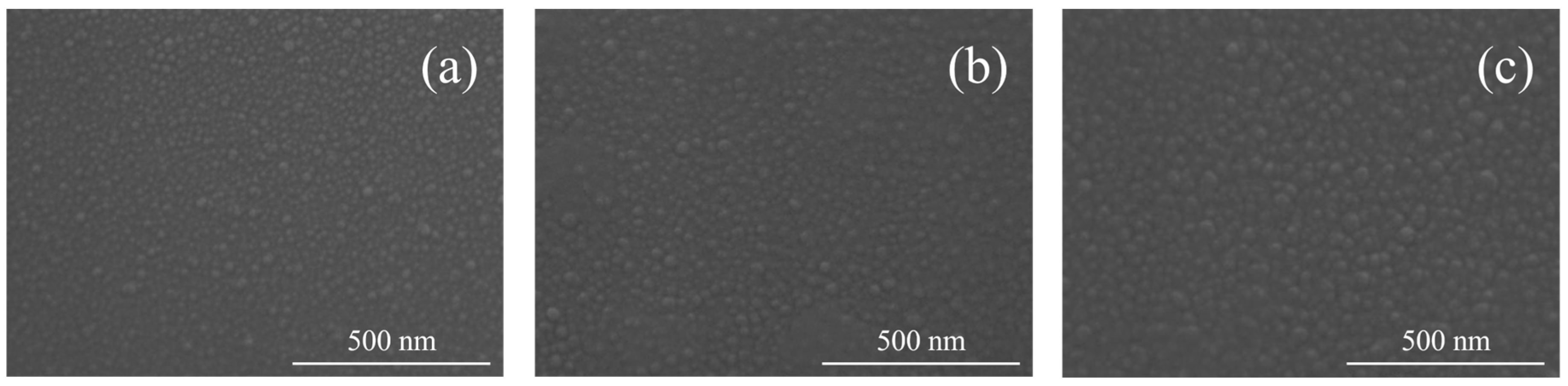 Preprints 142626 g004
