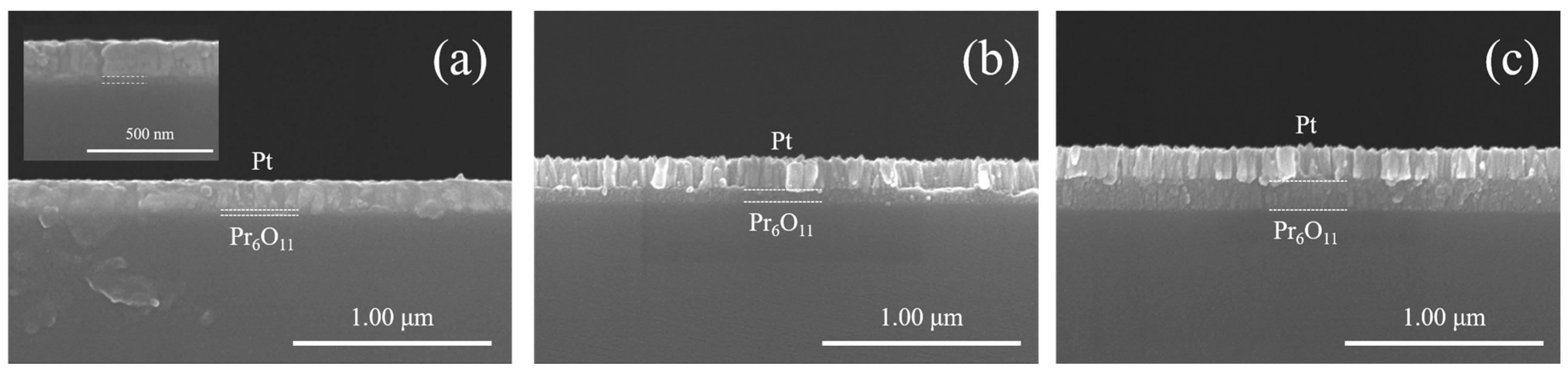 Preprints 142626 g005