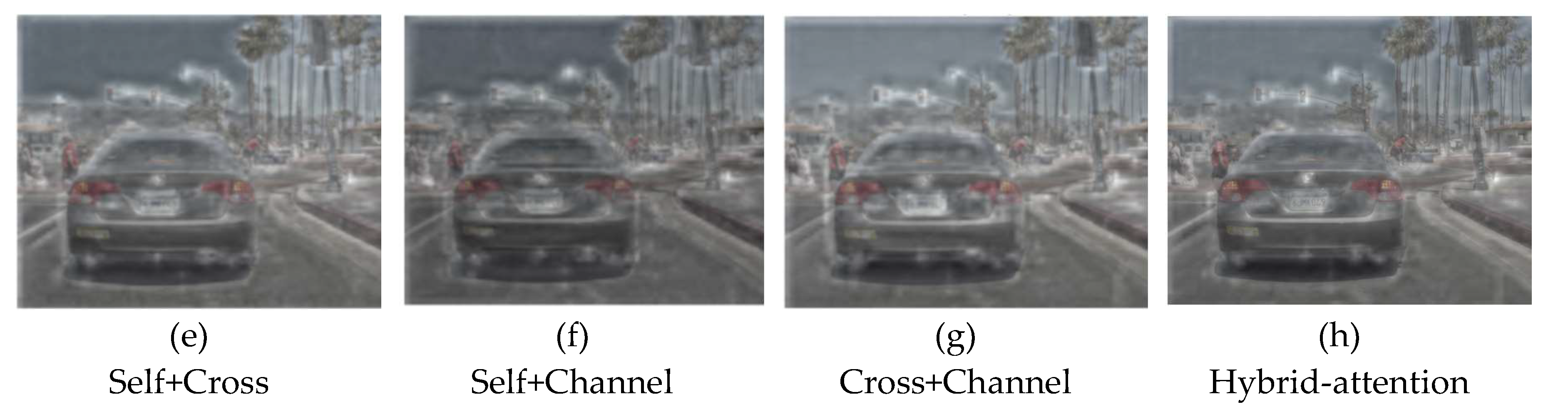 Preprints 159195 g015