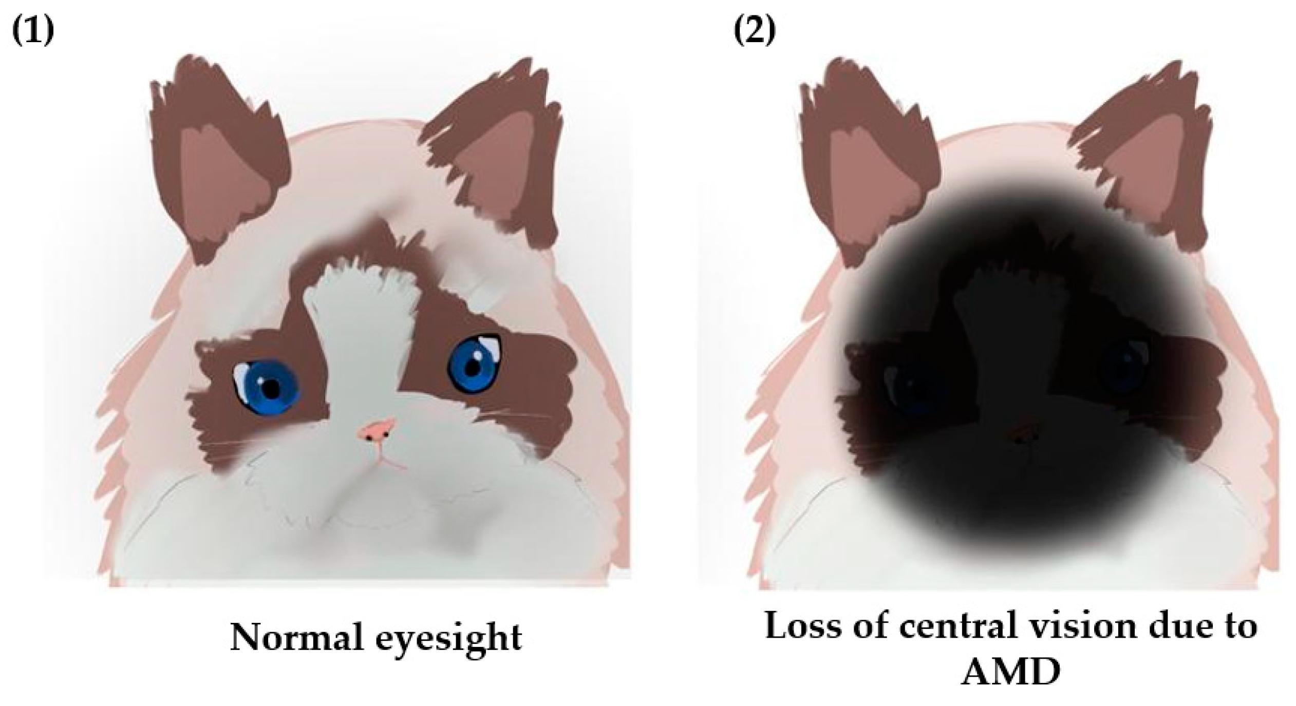 Preprints 149138 g002