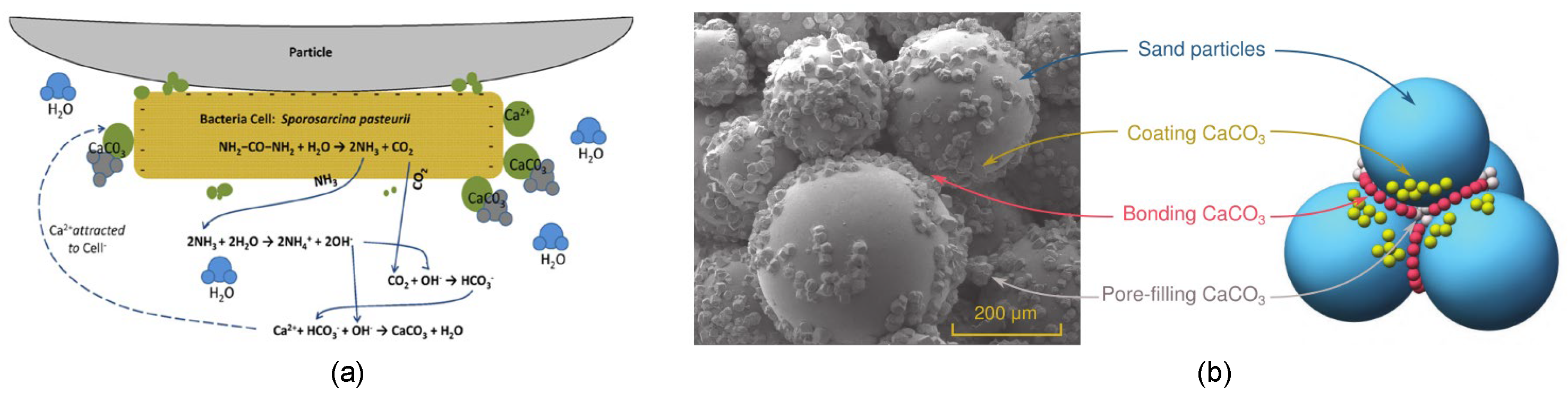 Preprints 159678 g002