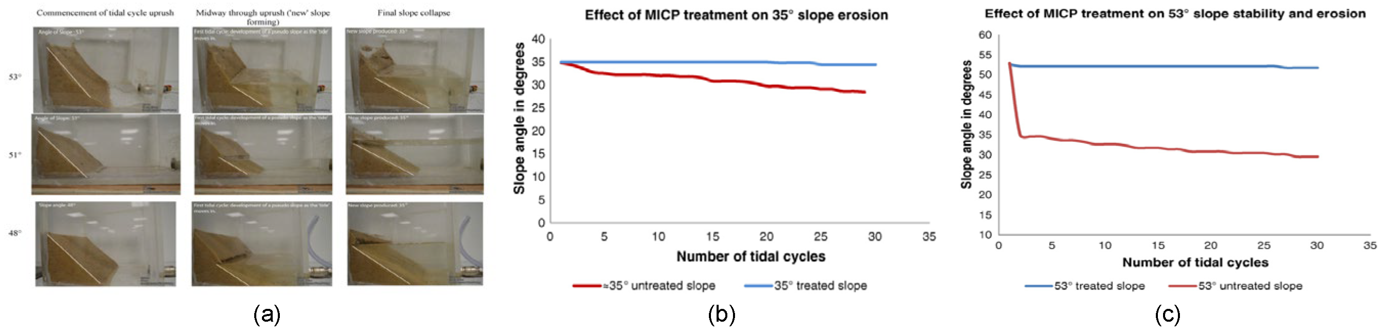 Preprints 159678 g005
