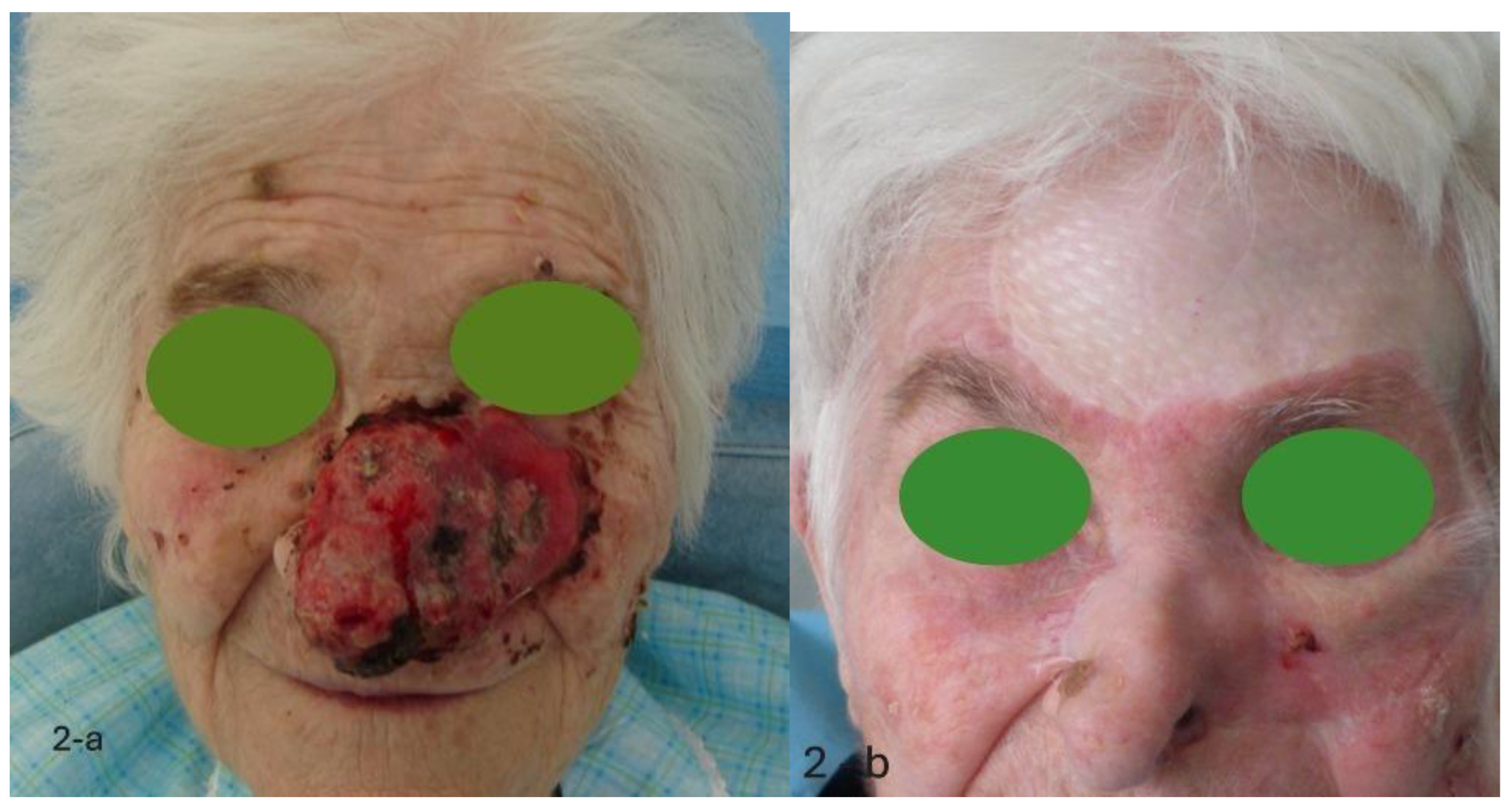 Preprints 208388 g002