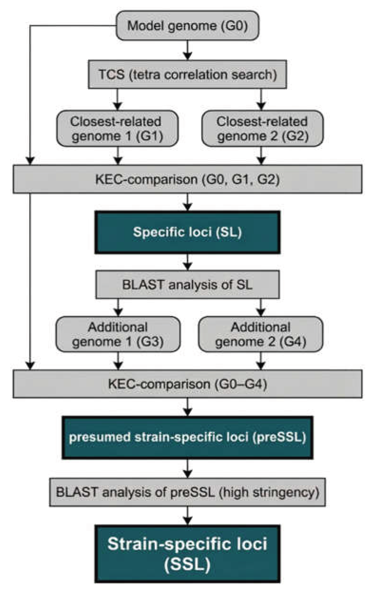 Preprints 220642 g001 Preprints 220642 g001