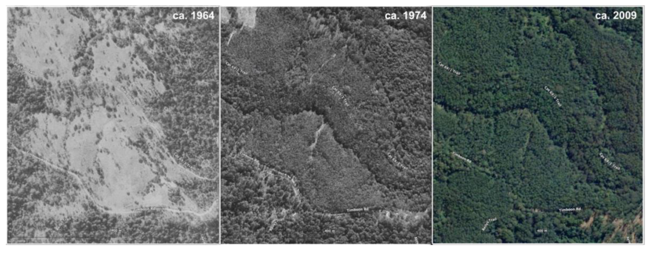 Preprints 168302 g003