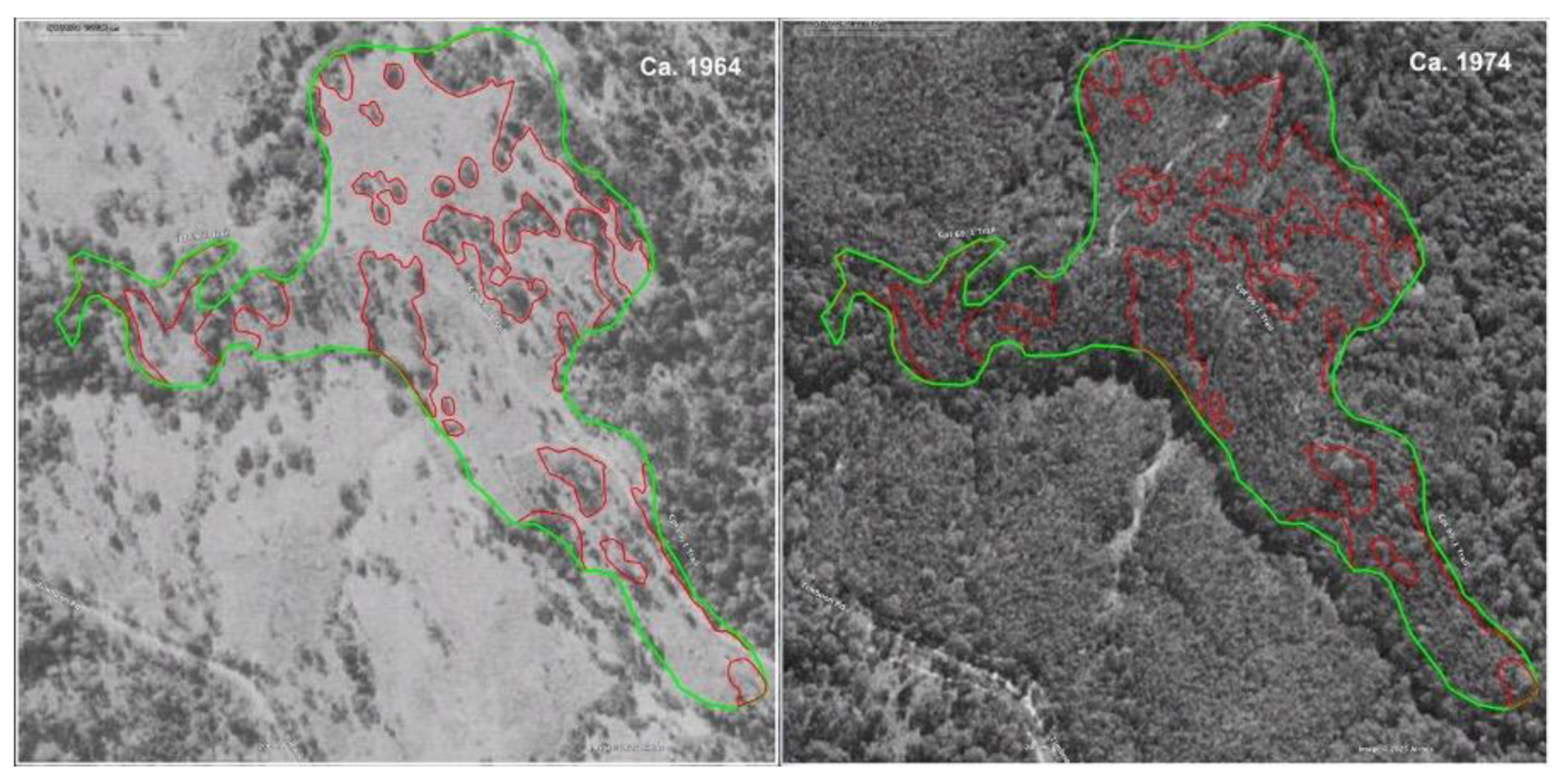 Preprints 168302 g004