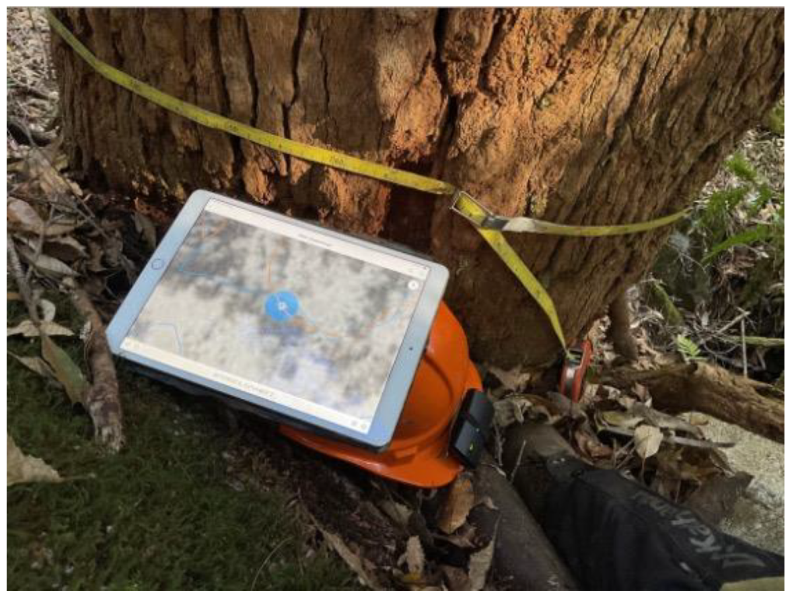 Preprints 168302 g008