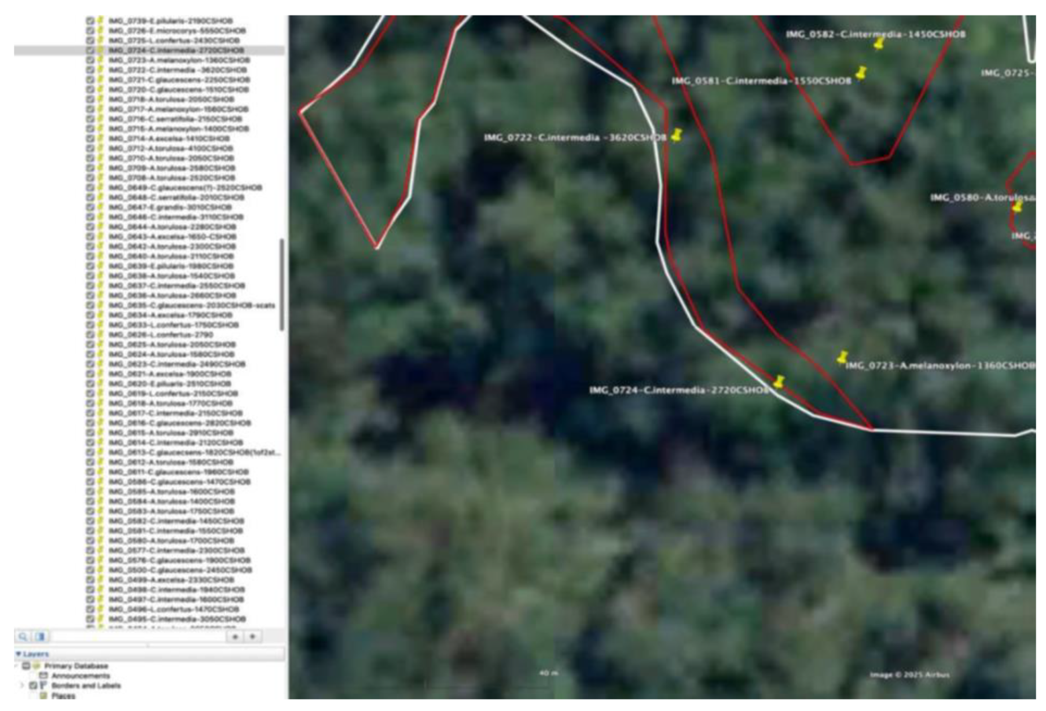 Preprints 168302 g009