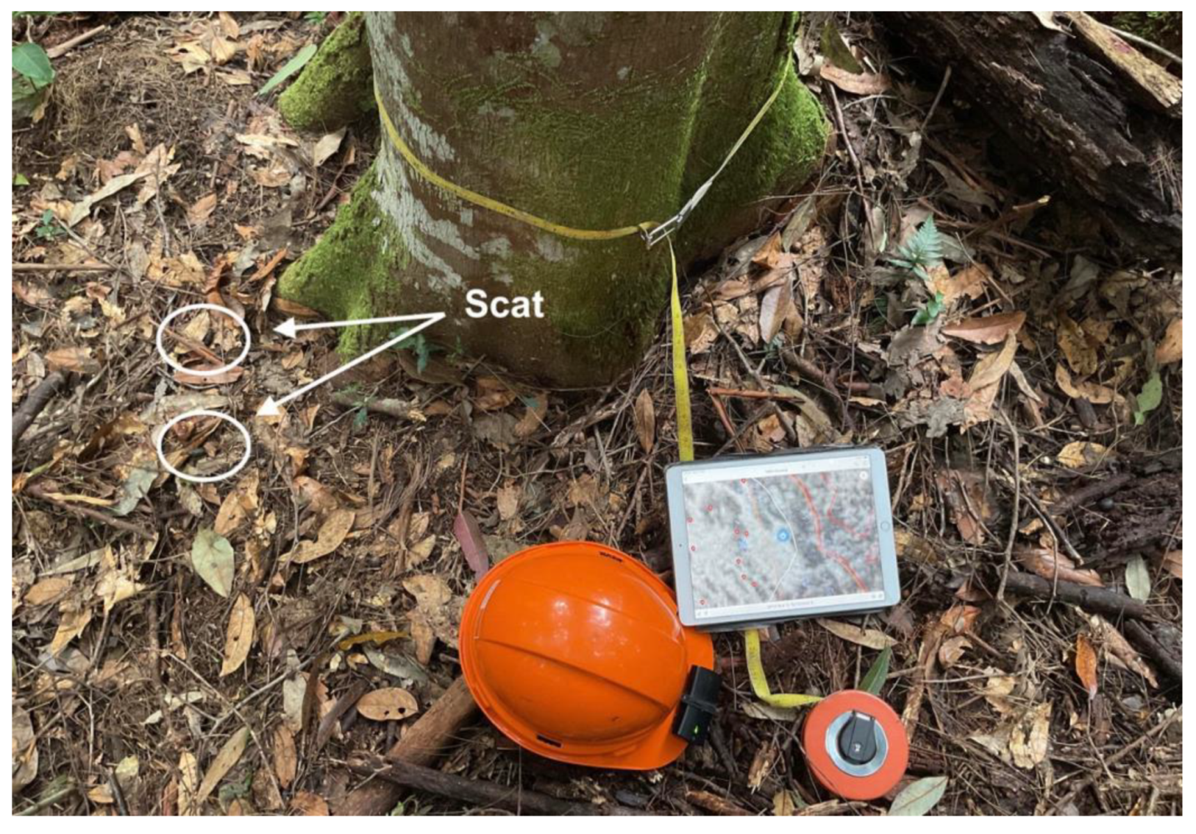 Preprints 168302 g010